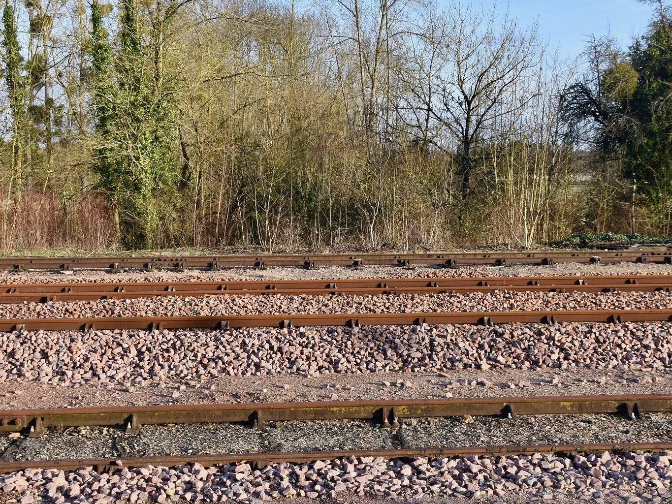 "Nikt o zdrowych zmysłach...". Generał ostrzega ws. dywersji