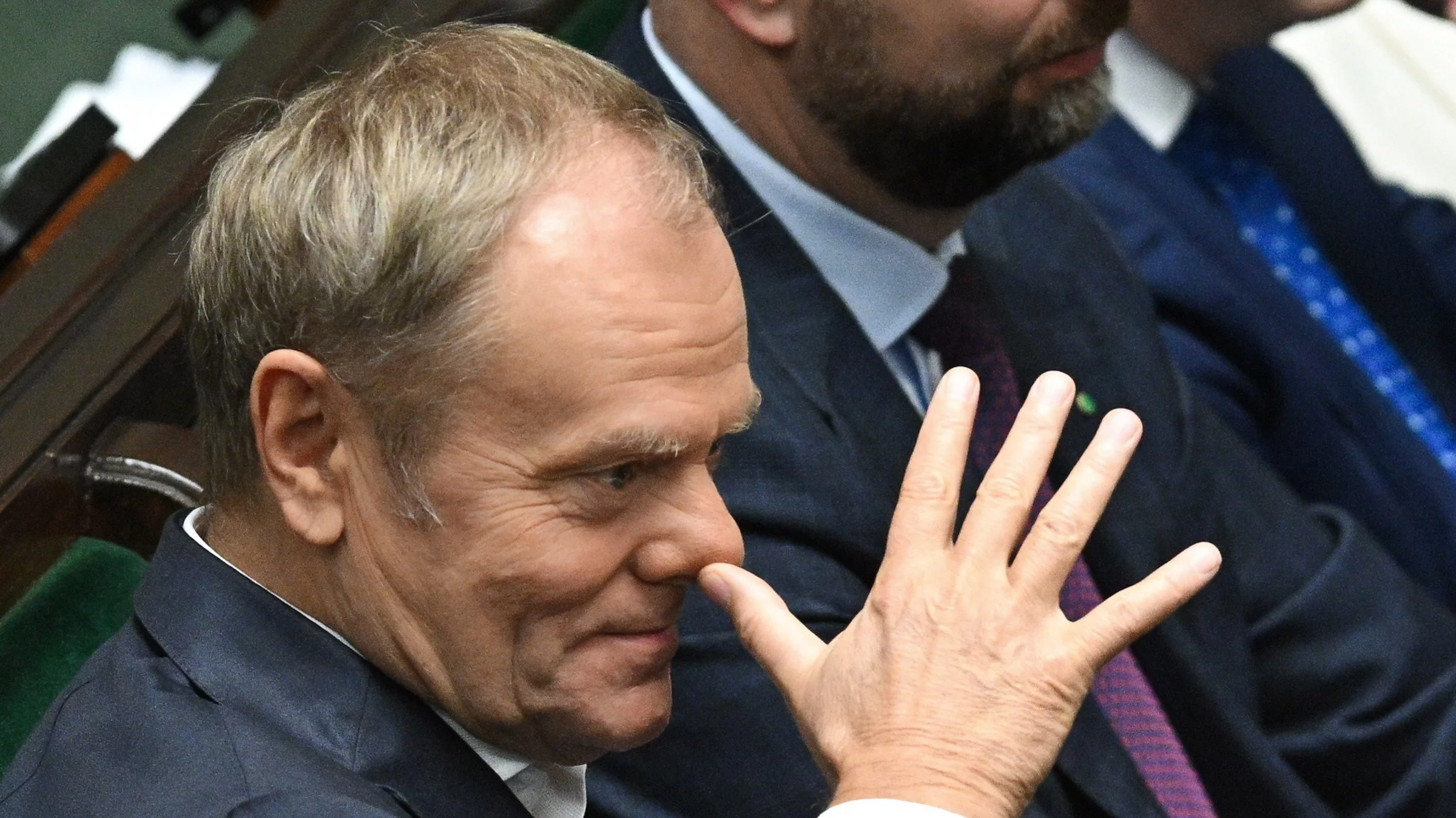 Nos czekający na gumce