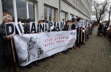 Obrońcy praw zwierząt pikietują przed sądem w Łodzi