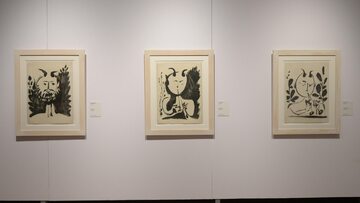 Otwarta w Muzeum Narodowym w Warszawie, 11 bm. wystawa czasowa "Picasso"