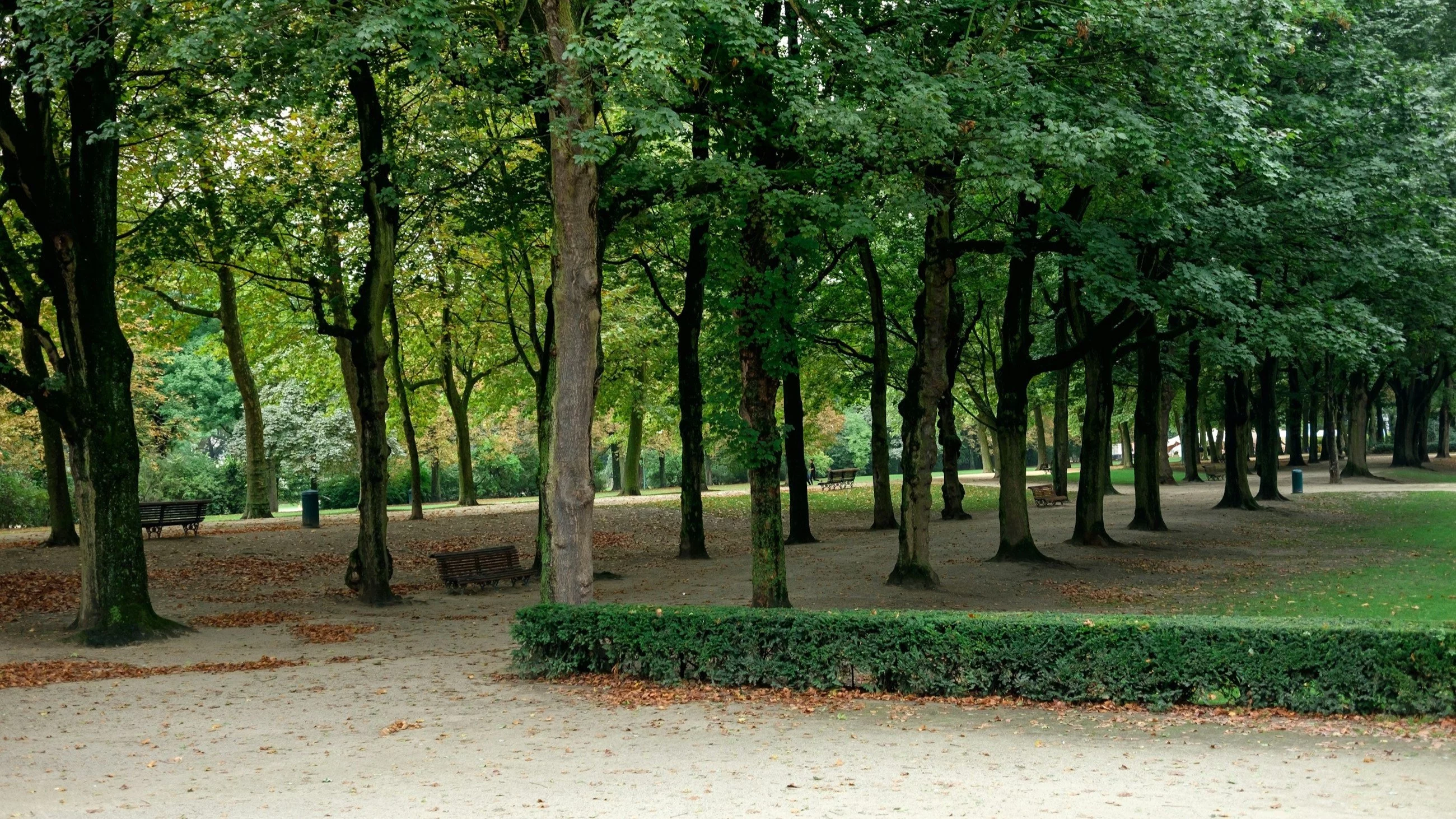 Park Bois de Boulogne w Paryżu
