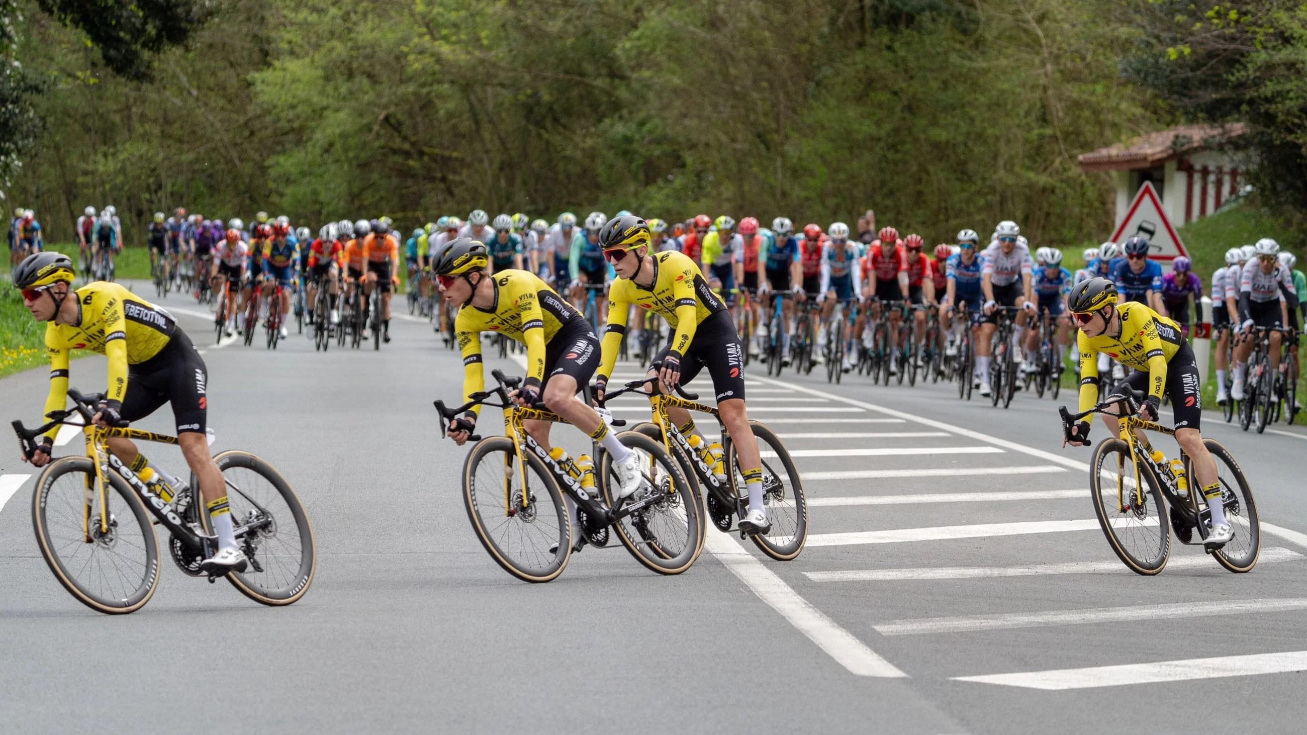 Kolarze ekipy Visma Lease a Bike na czele peletonu