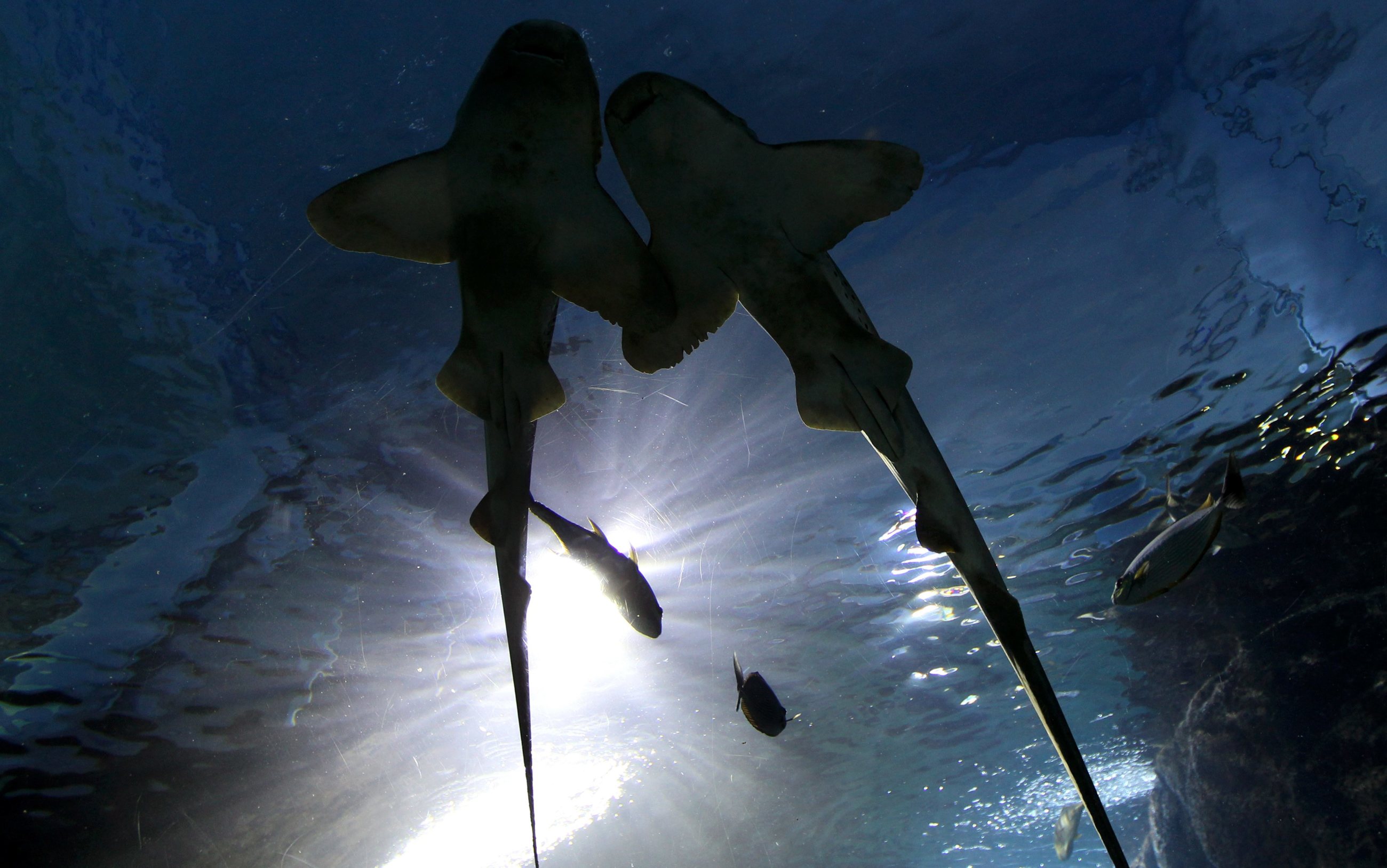 fot. zdjęcie ilustracyjne