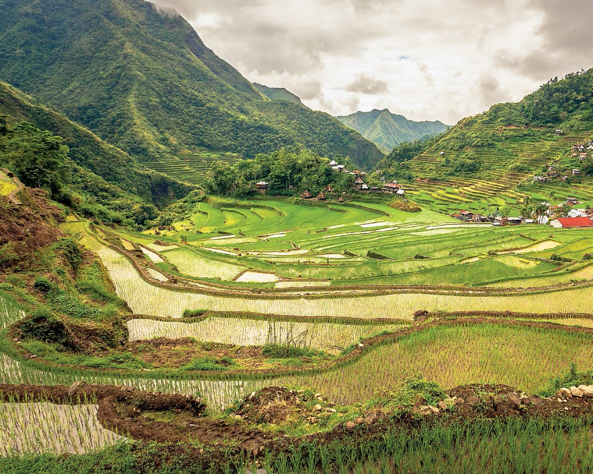 fot. materiały prasowe