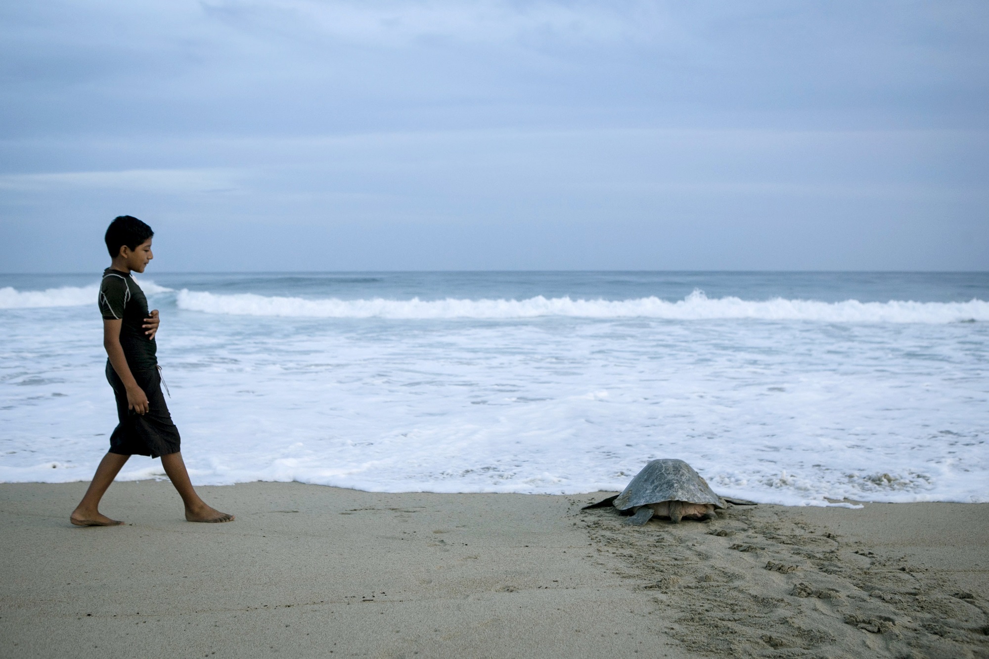 fot. zdjęcie ilustracyjne