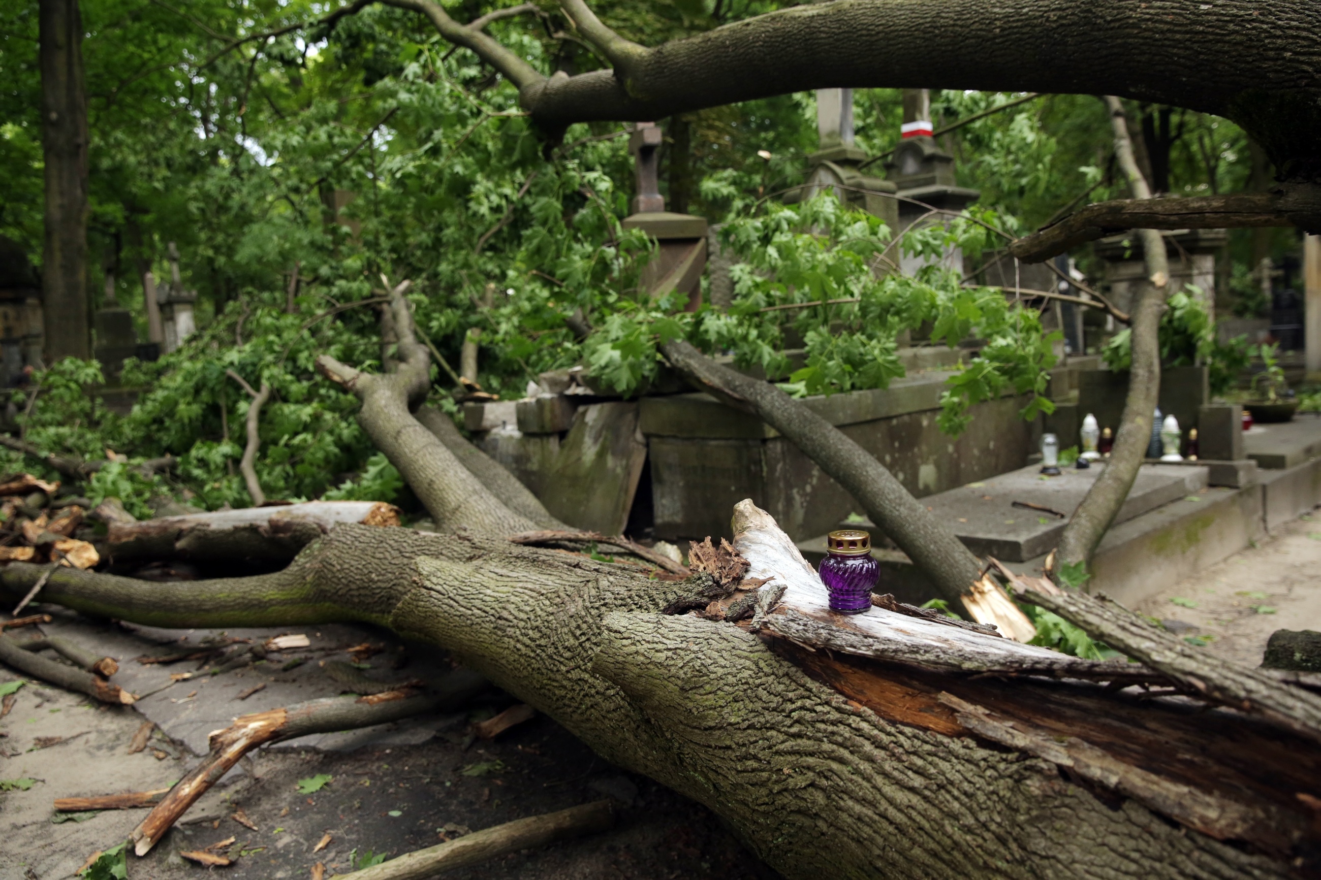 Zniszczenia na warszawskim Cmentarzu Powązkowskim, spowodowane przez wichurę,
