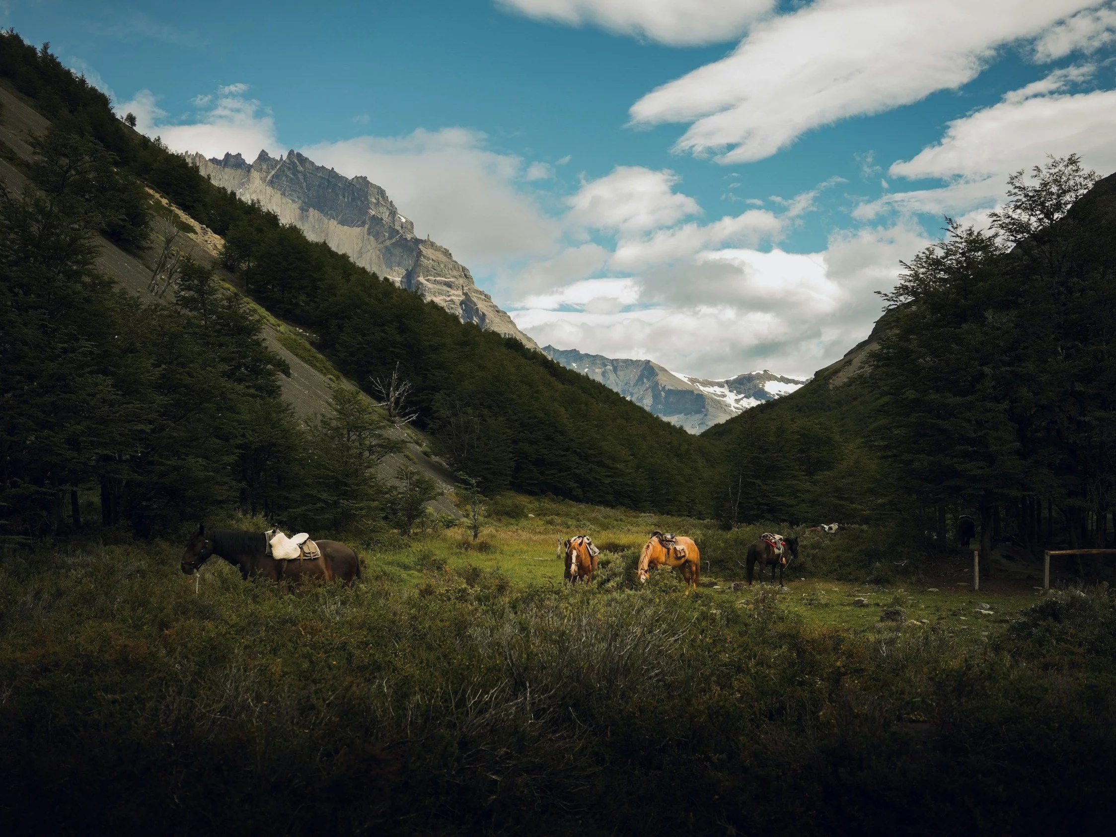 Patagonia. Zdj. ilustracyjne