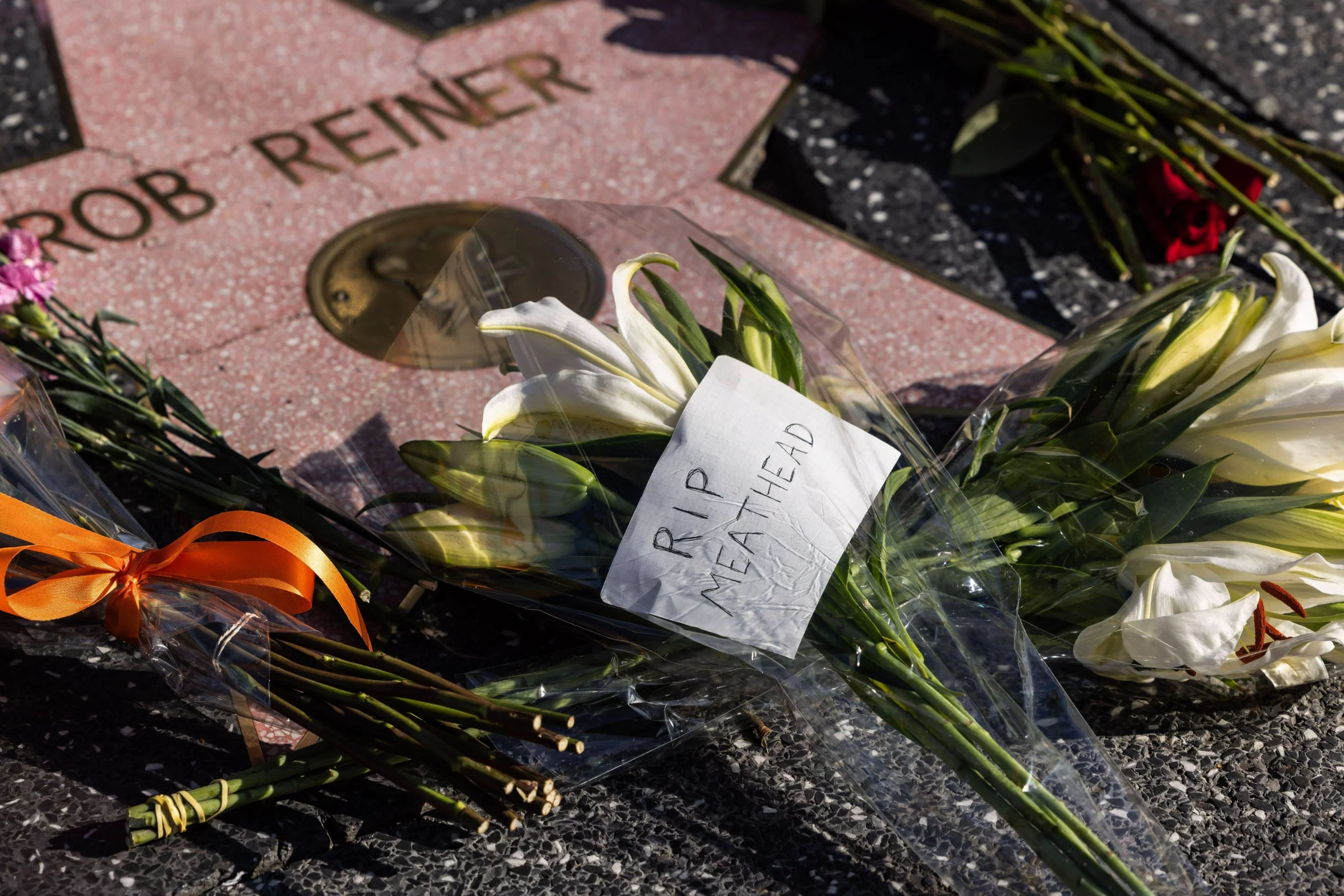 Gwiazda Roba Reinera w Alei Gwiazd w Hollywood