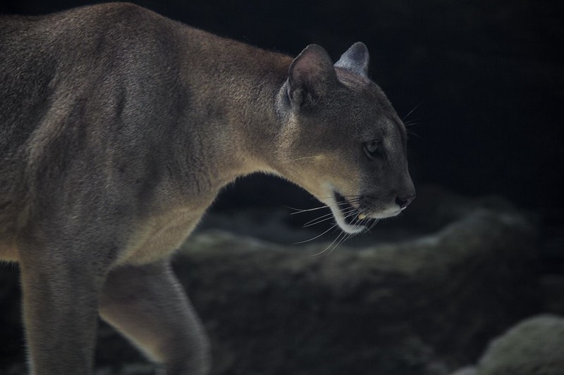 fot. zdjęcie ilustracyjne