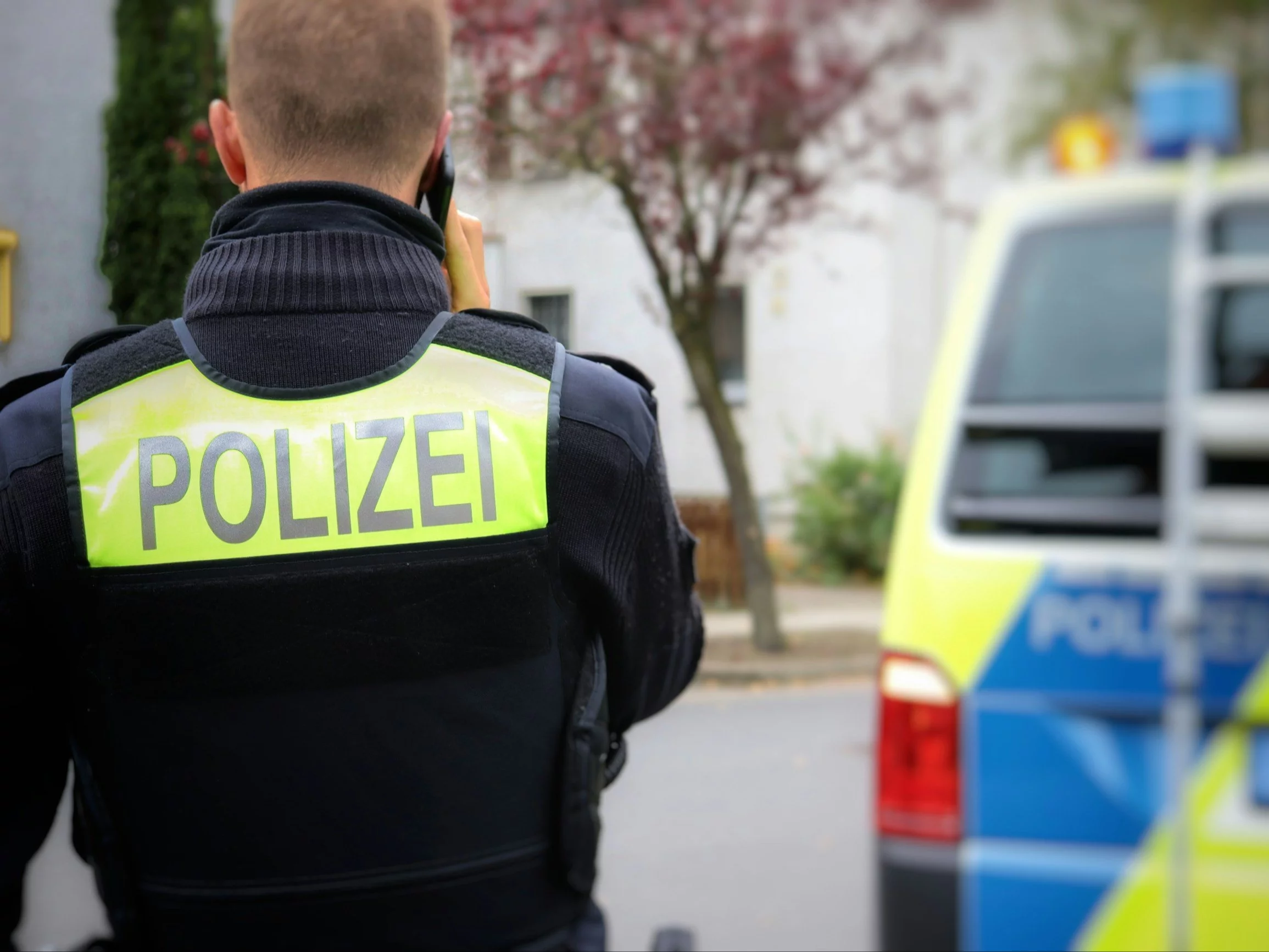 AfD-sympathizing police officers suspected of "extremism"