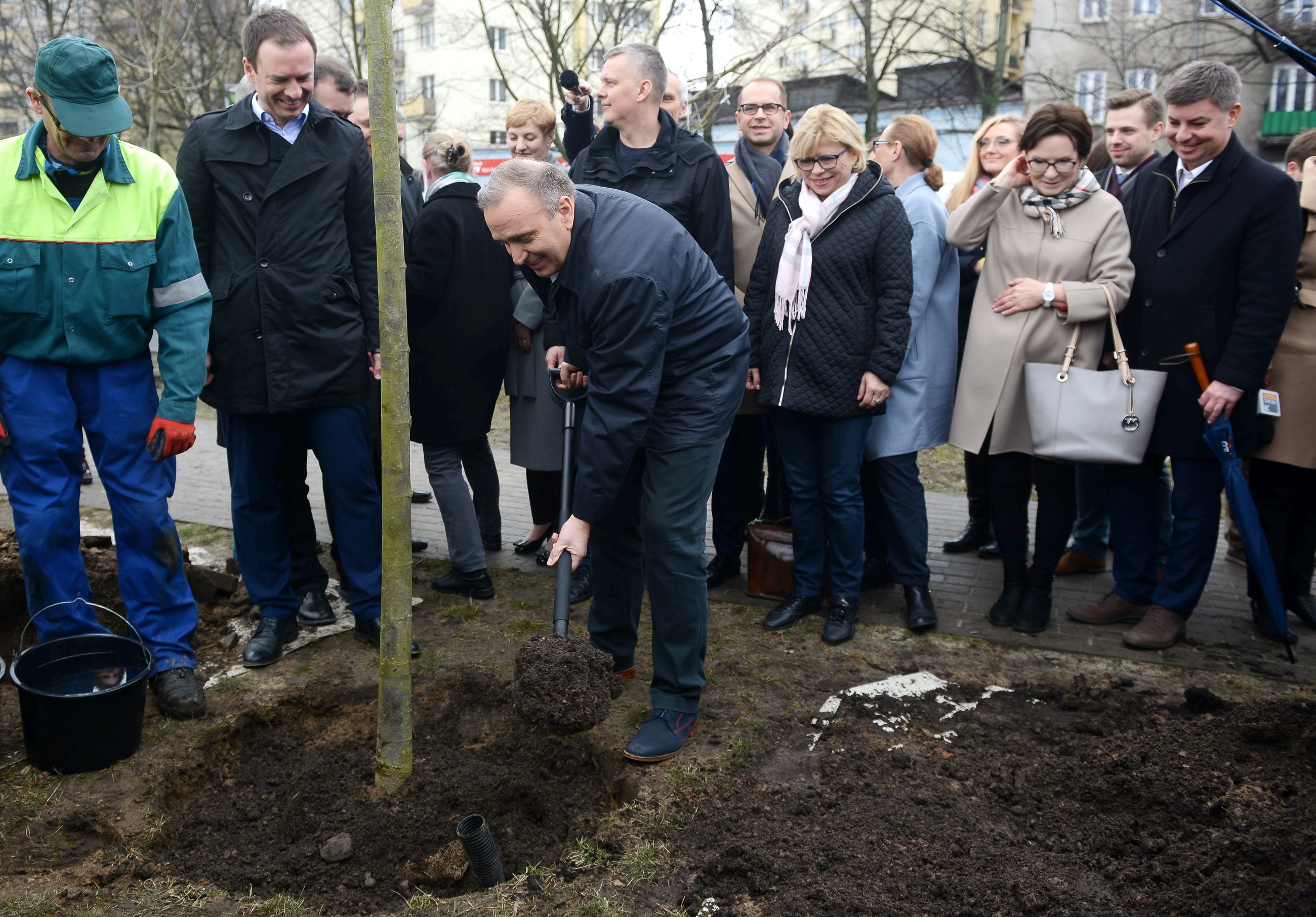 Grzegorz Schetyna i politycy PO sadzą drzewa w Warszawie
