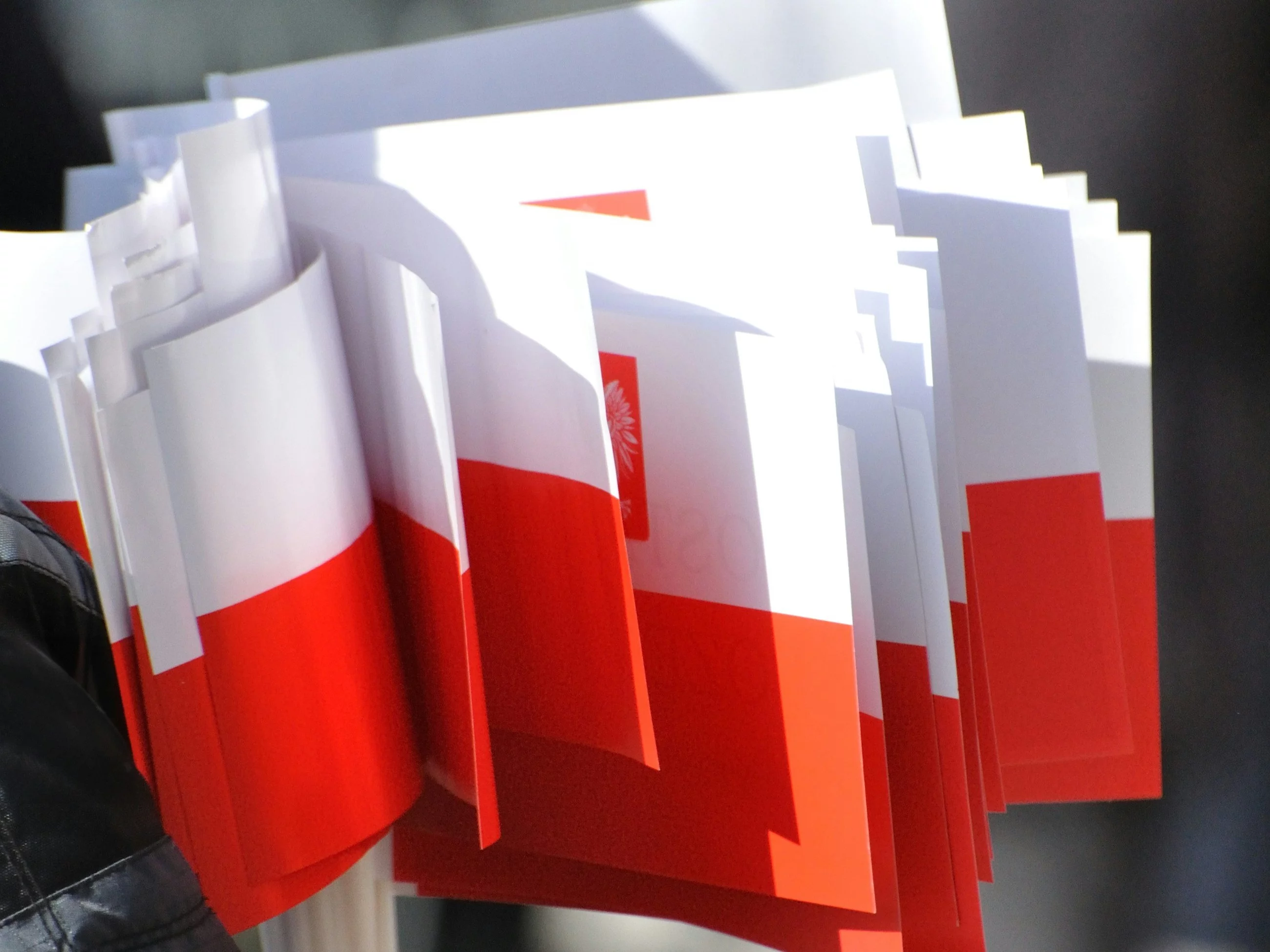 "Poland under occupation". A strong message  of the organizers of the Millennium Congress