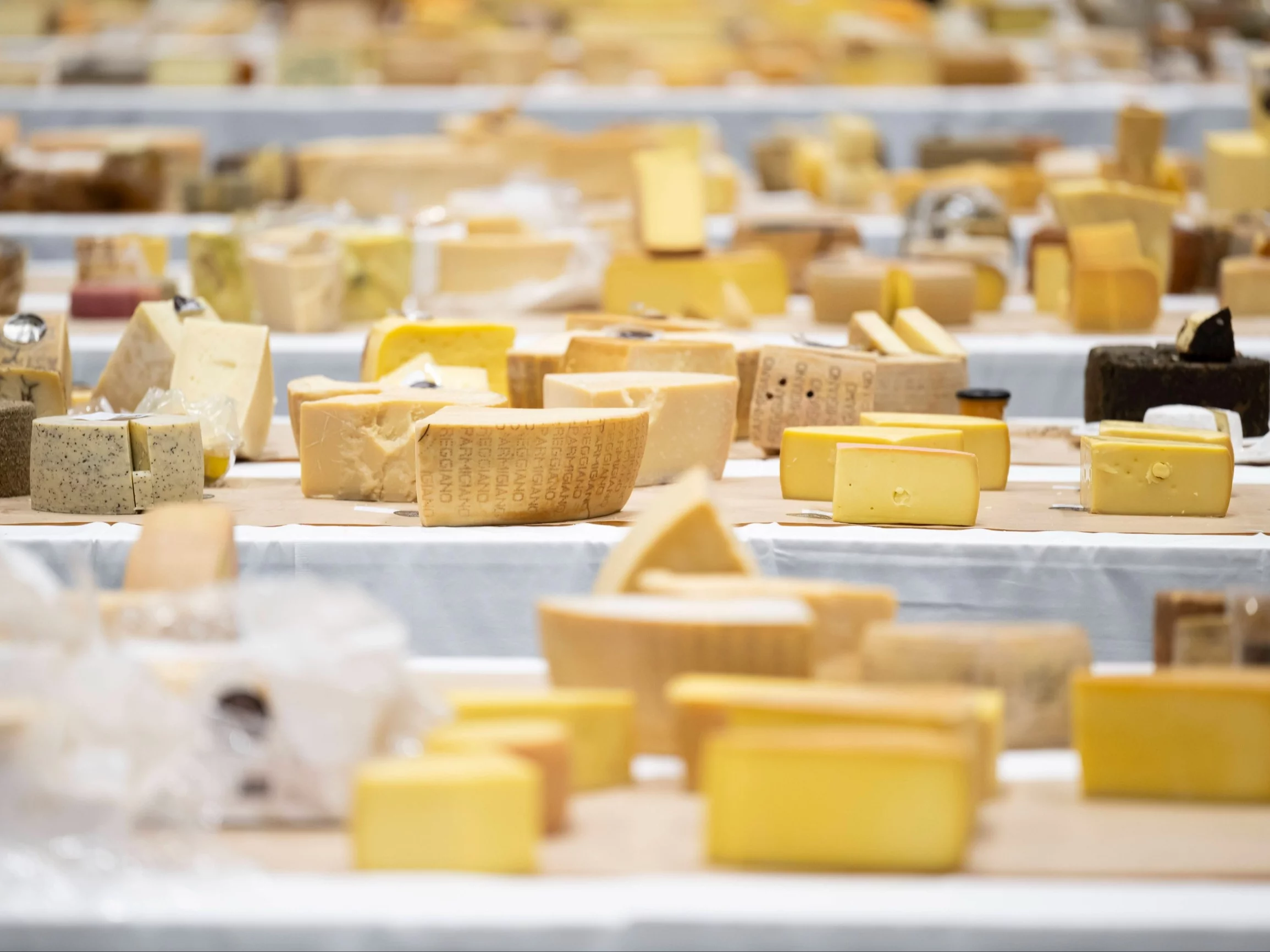 Sery, zdjęcie ilustracyjne