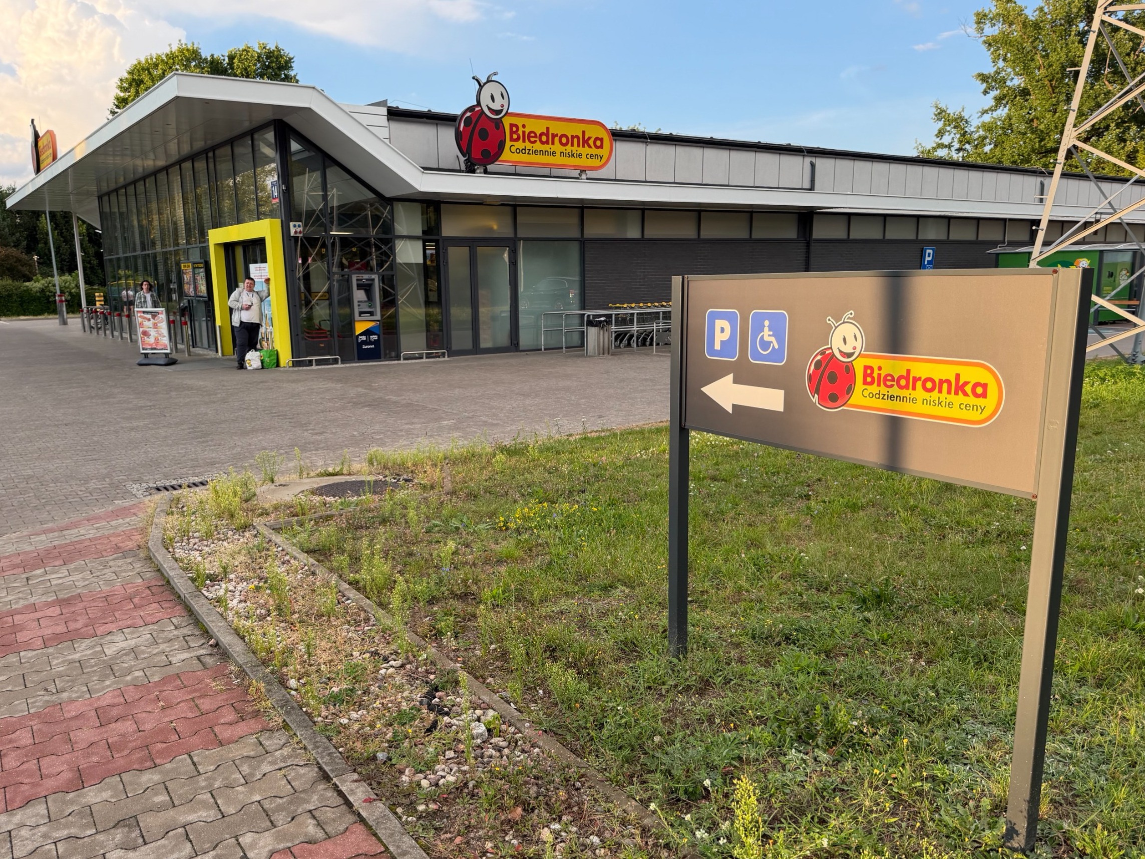 Biedronka, zdjęcie ilustracyjne