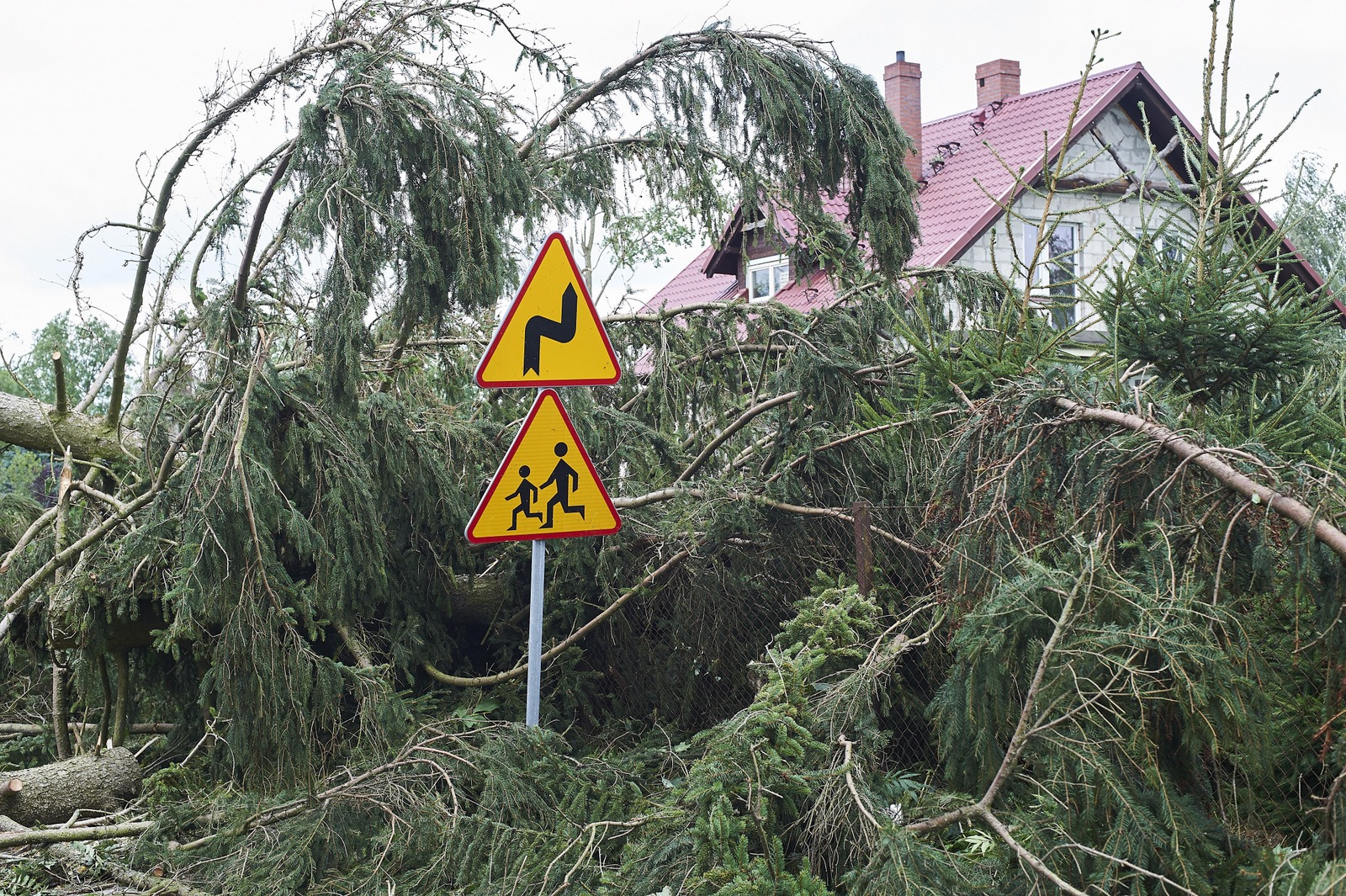 Zdjęcie ilustracyjne