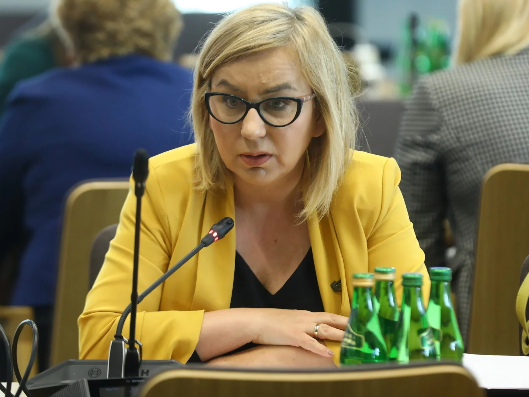 What occupation  for Hołownia? "He has always been curious  in this field"