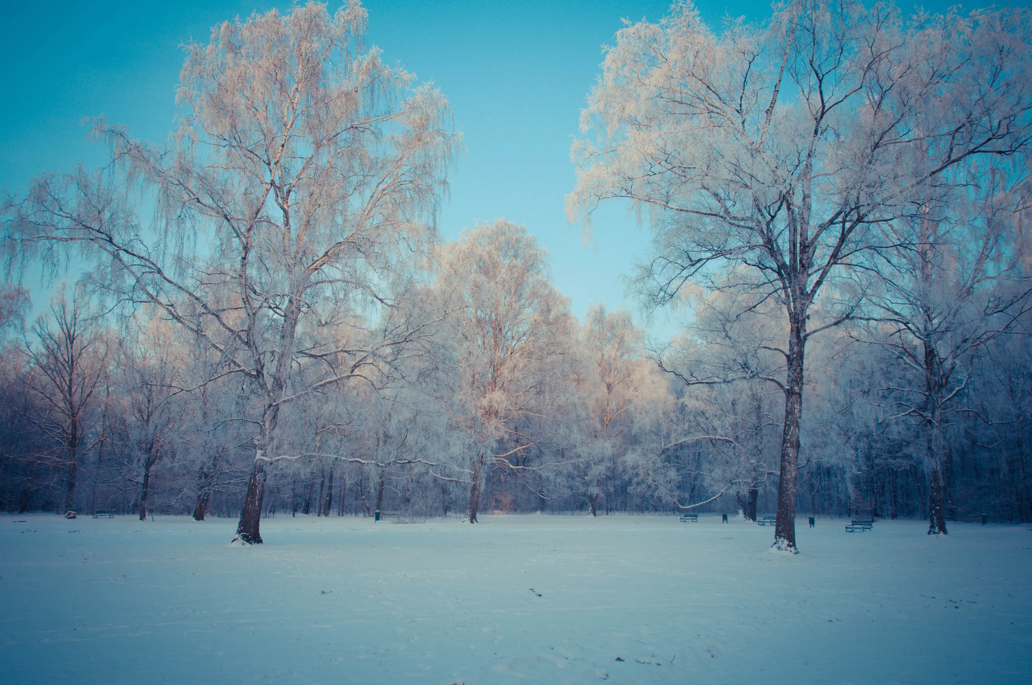 Działacze chcą, aby imię polityka nosił park przy ulicy Leczniczej w Łodzi.