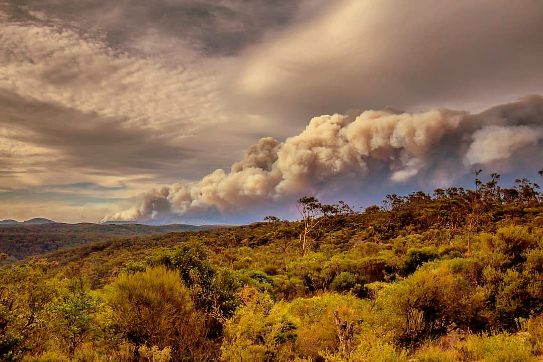 Australia. Pożar buszu, grudzień 2019