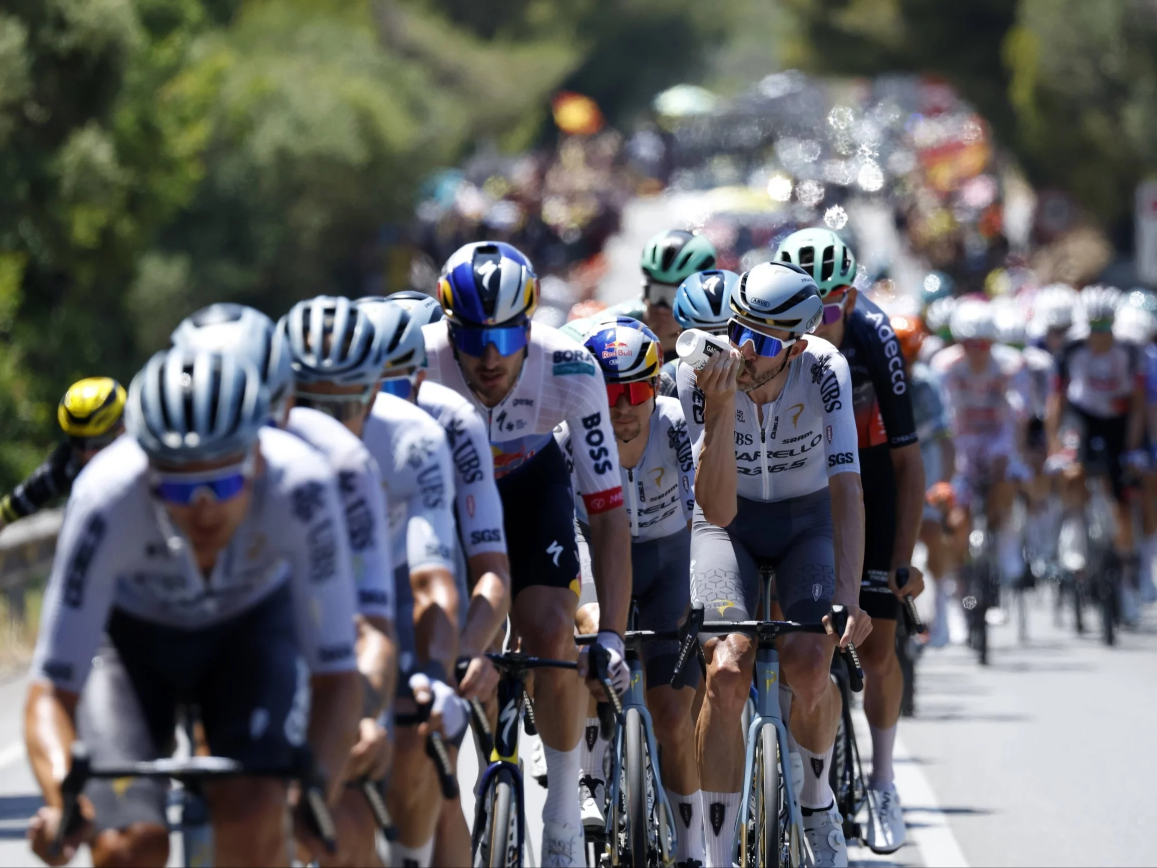 Kolarze na trasie wyścigu Tour de France