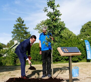 Premier RP Mateusz Morawiecki podczas sadzenie dębów w Tabasalu