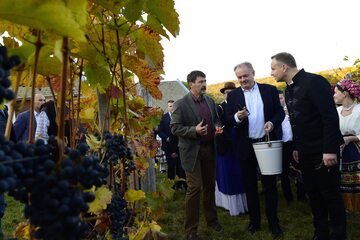 Prezydent Andrzej Duda na winobraniu