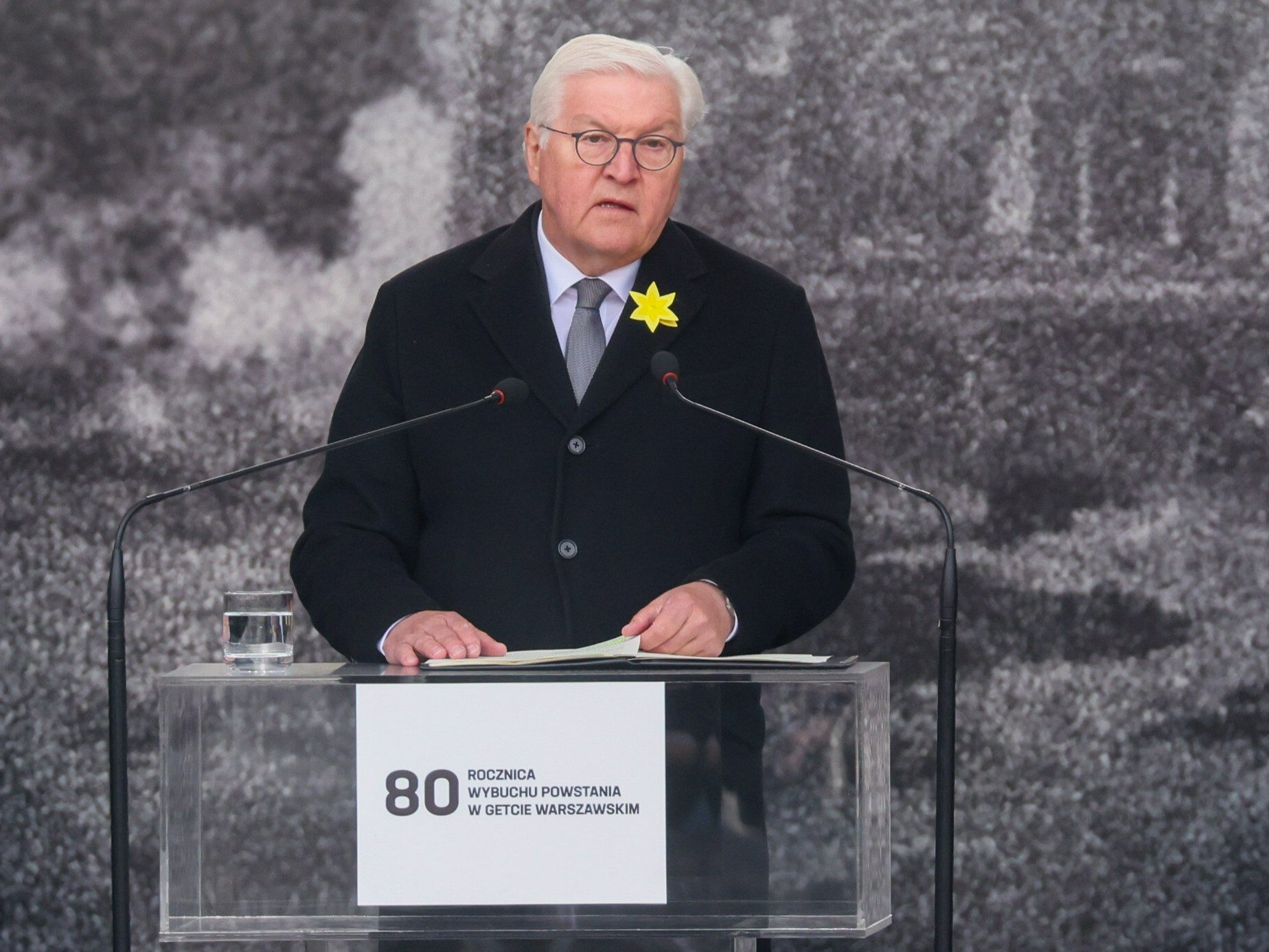 Prezydent Republiki Federalnej Niemiec Frank-Walter Steinmeier