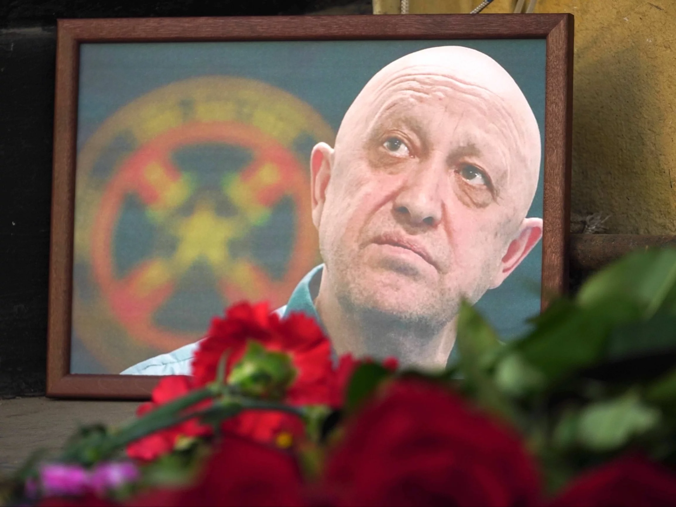 Prigożyn wiecznie żywy