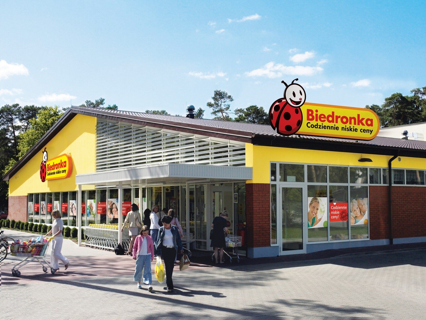 Biedronka, zdjęcie ilustracyjne