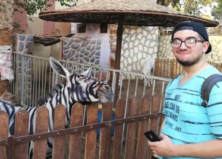 Problemy zoo. Przemalowali osła na zebrę?