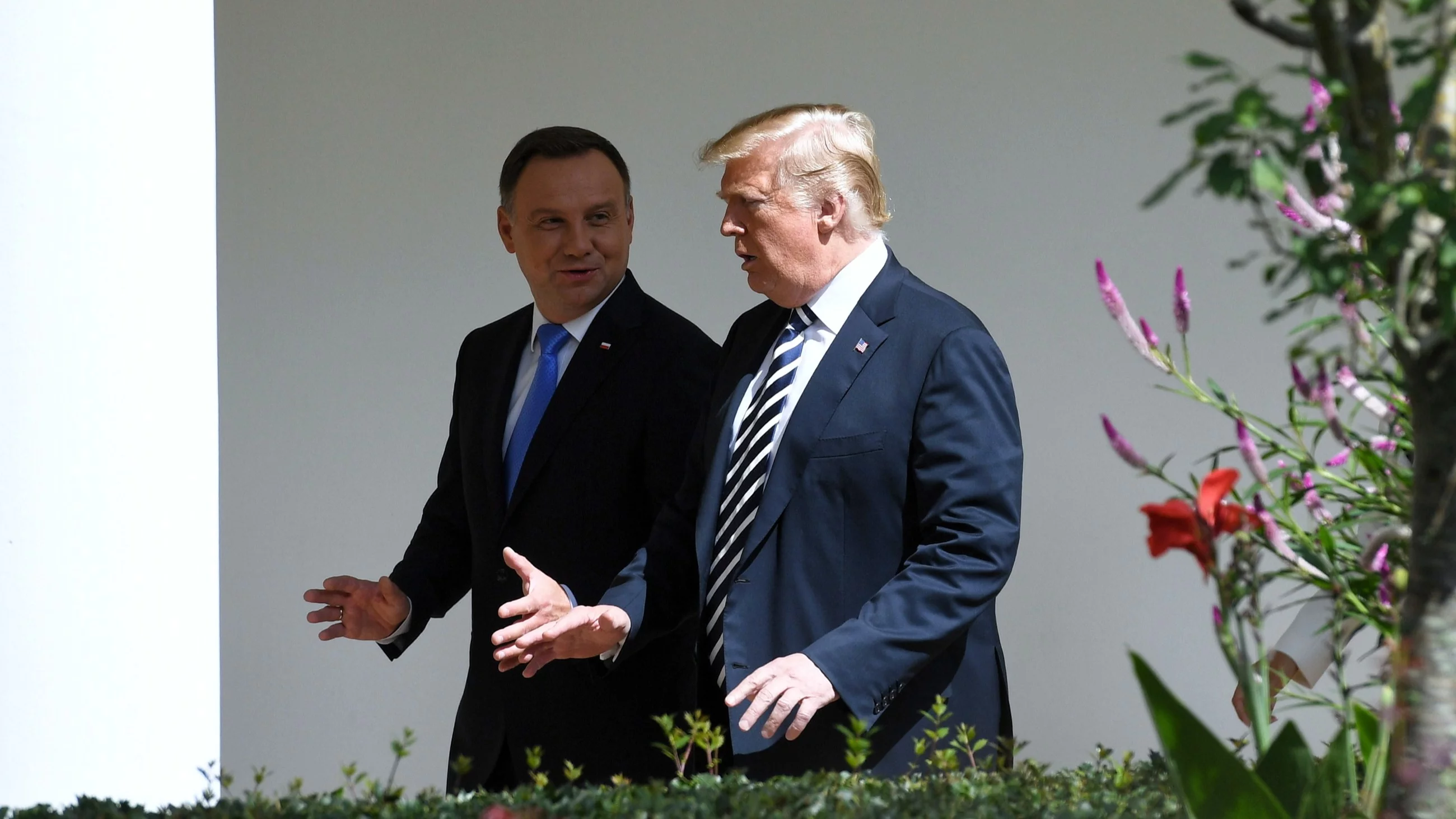 Spotkanie Duda-Trump