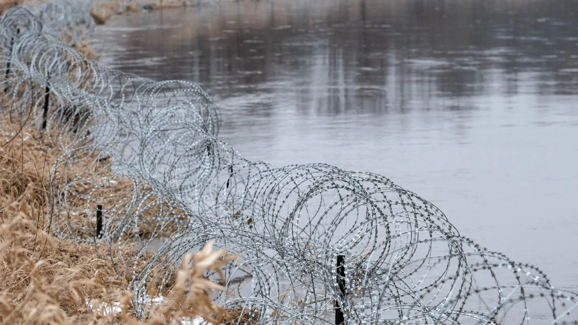 Przepłynęli Bug pontonem, chcieli dotrzeć do Niemiec. Migranci w rękach SG