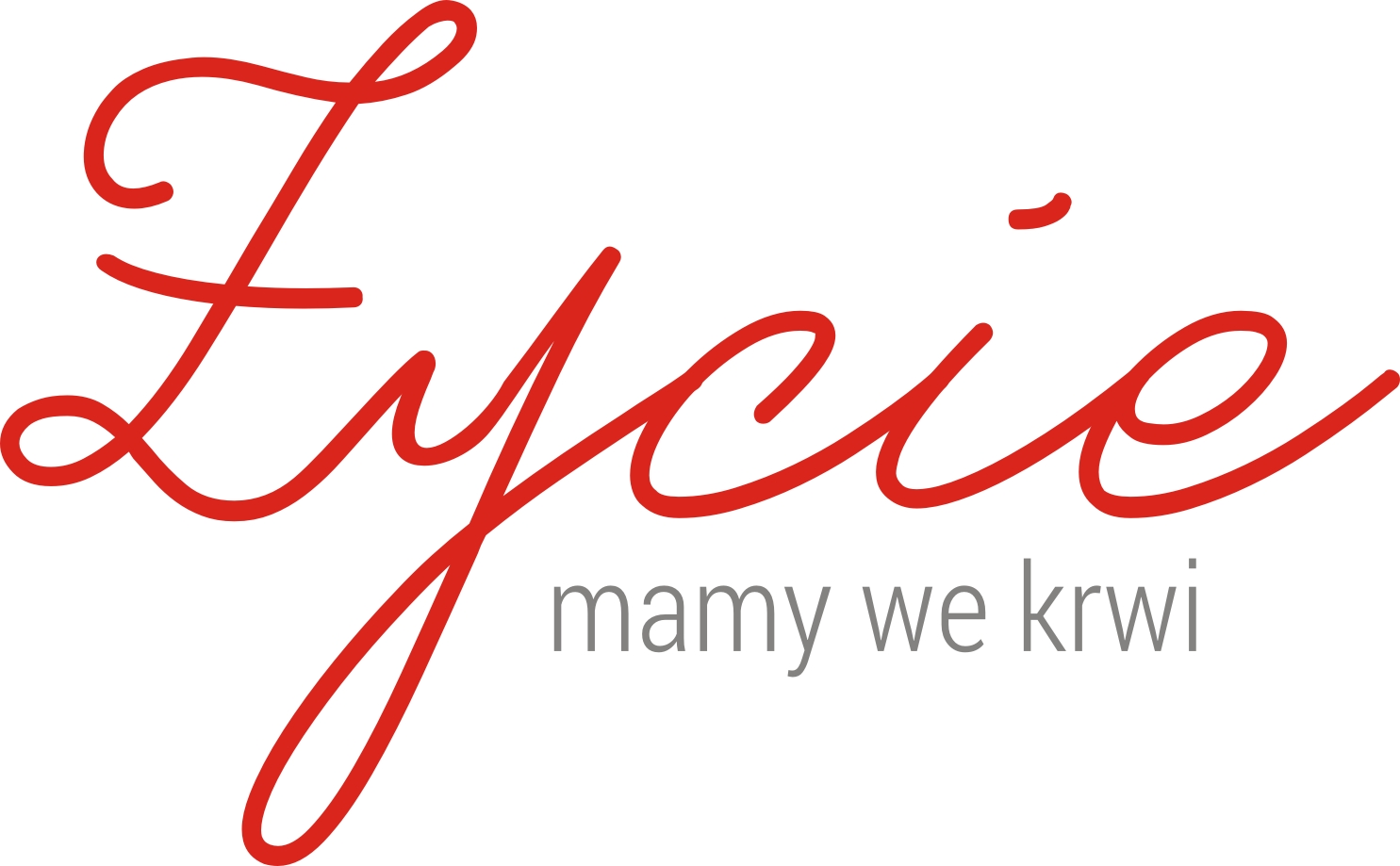 fot.materiały prasowe