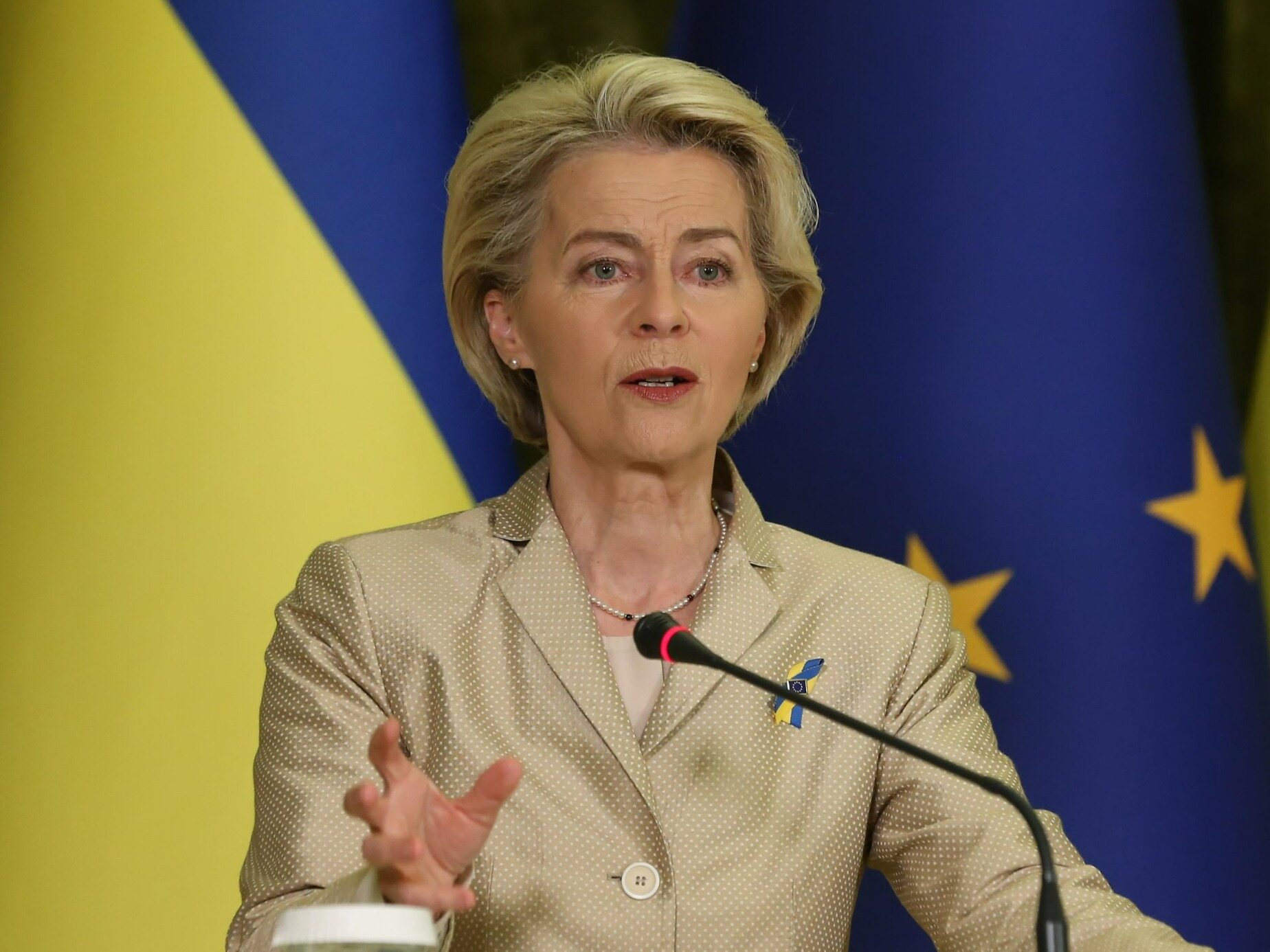 Von der Leyen calls for cooperation for Ukraine