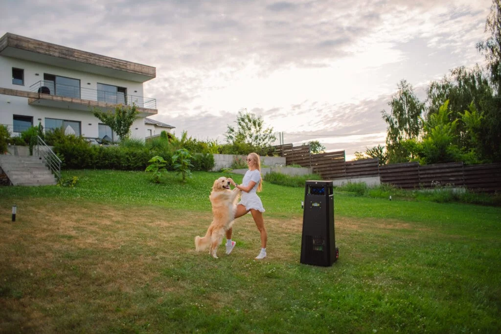 Mosqitter – by cieszyć się latem bez komarów