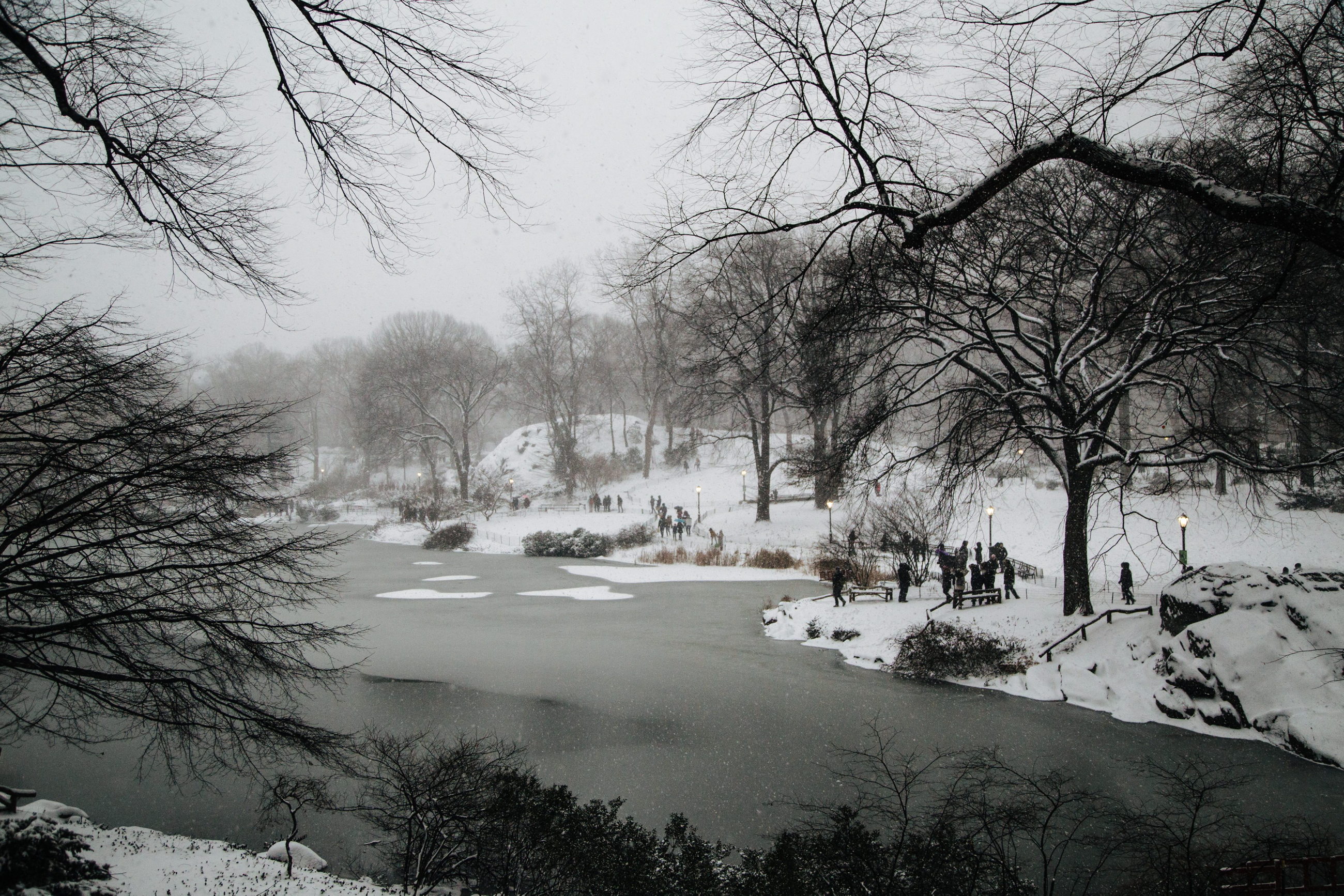Central Park, Nowy Jork