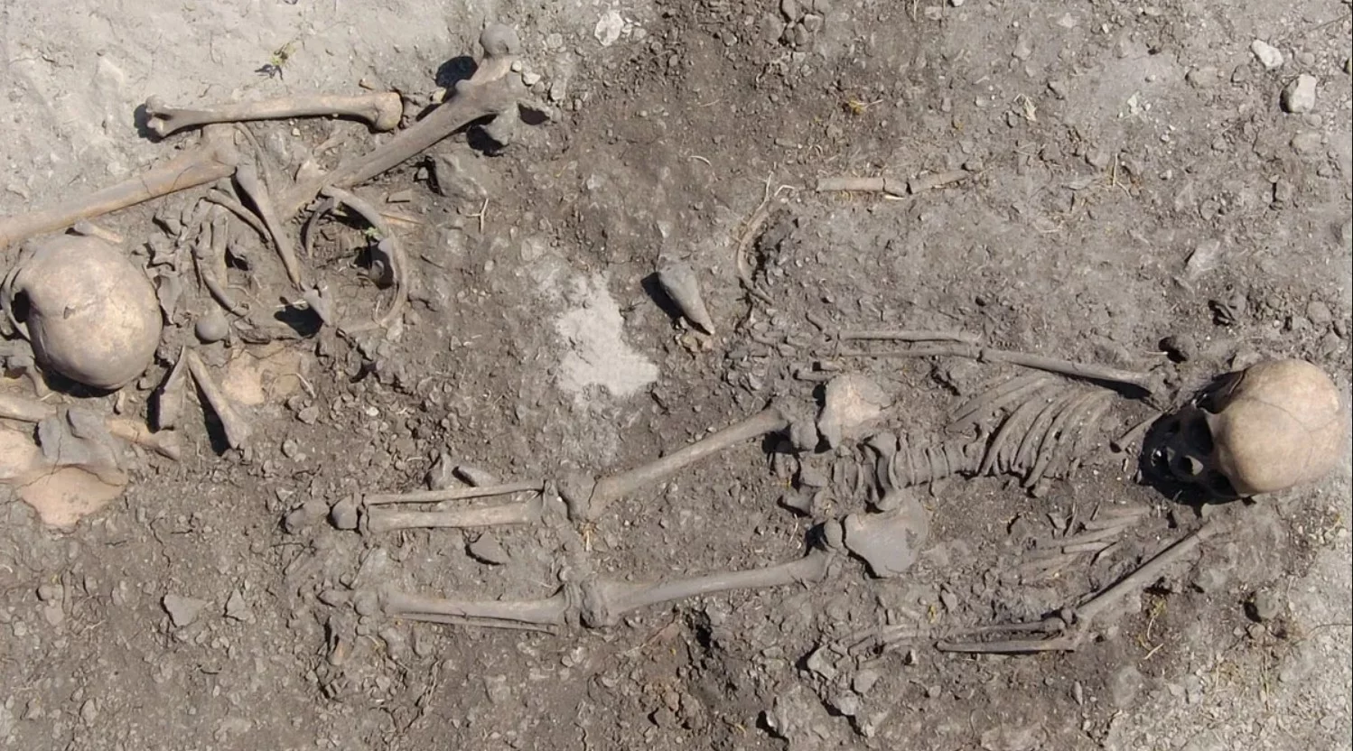 Pochówki rodzinne na Gotlandii sprzed 5500 lat