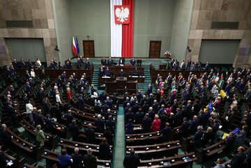 Rusłan Stefanczuk przemawia w polskim Sejmie