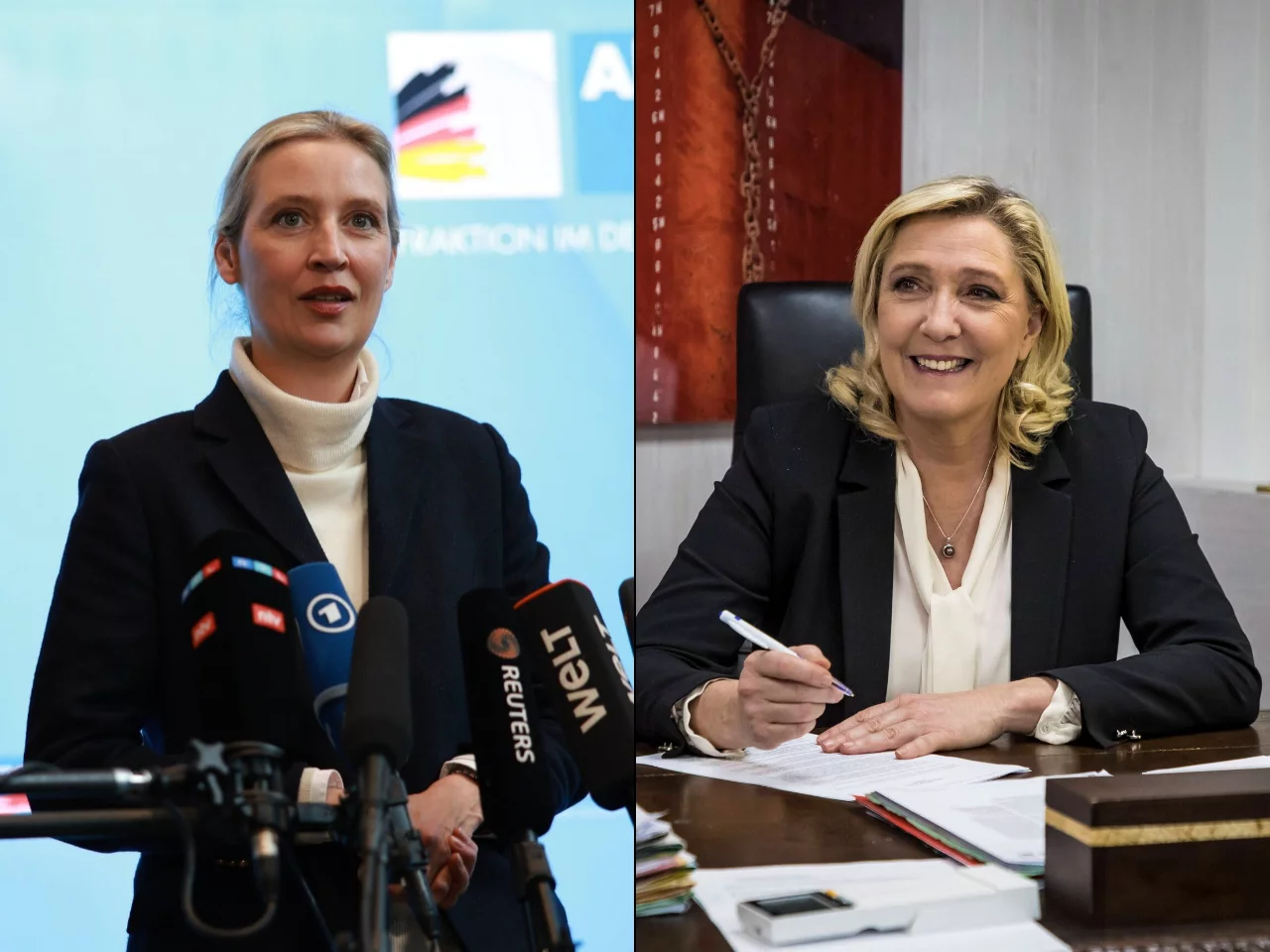 Alice Weidel, Marine Le Pen