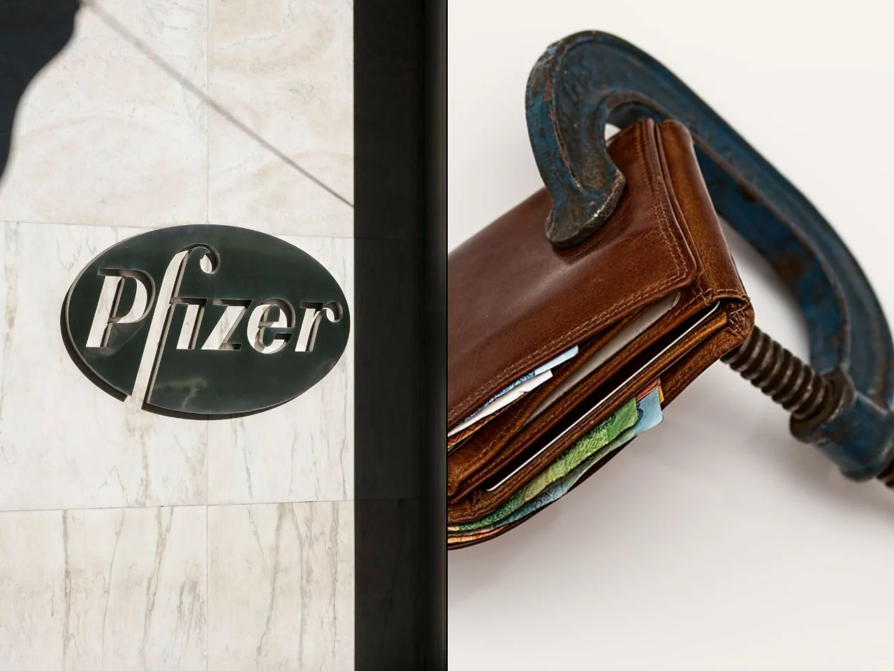 Pfizer logo, portfel