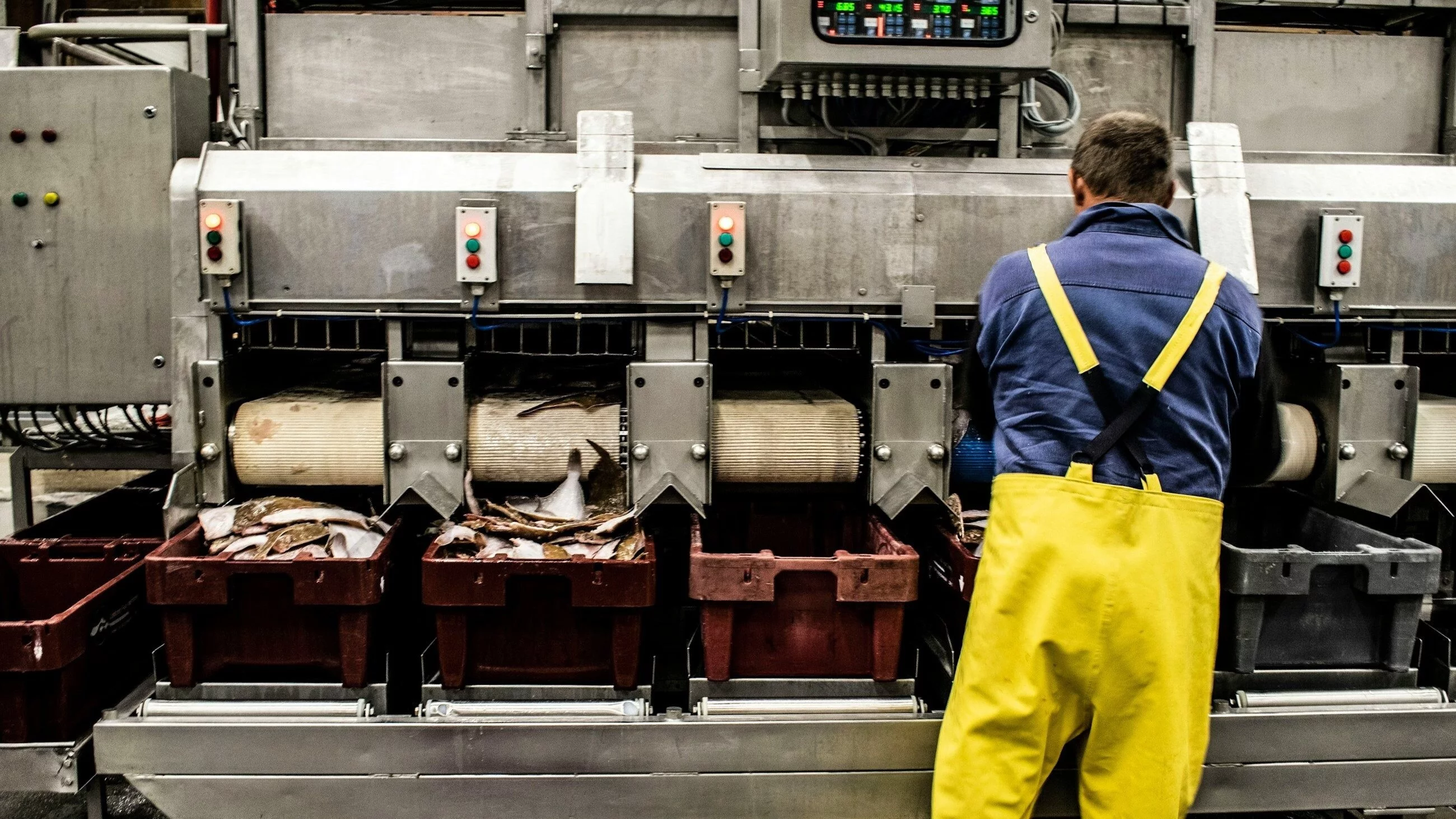 Niepokojący trend w polskiej gospodarce. Badania ujawniają poważny problem z pracownikami