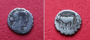 Serratus - rzymska moneta znaleziona na Lubelszczyźnie