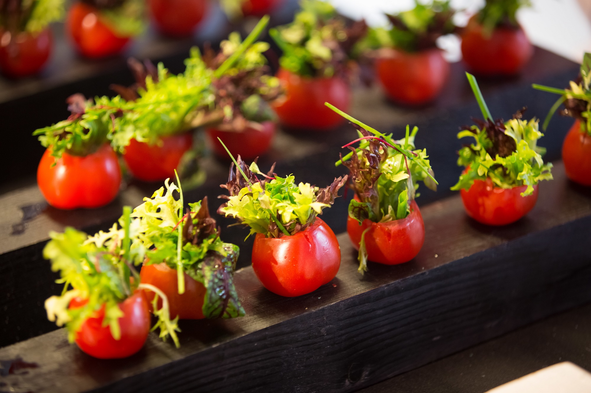 fot. zdjęcie ilustracyjne