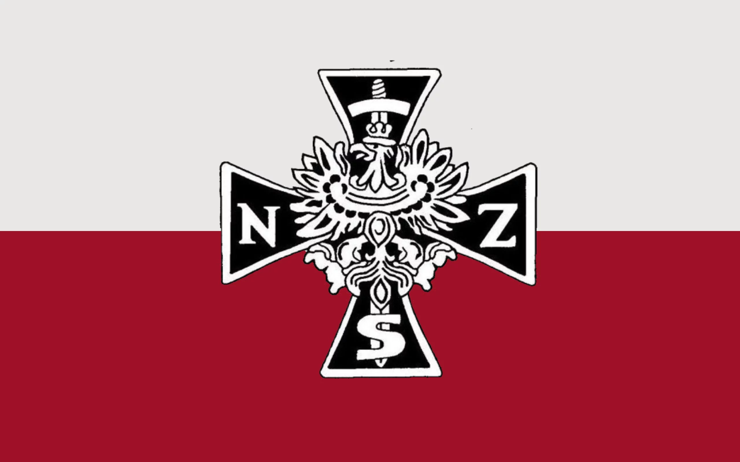 Narodowe Siły Zbrojne