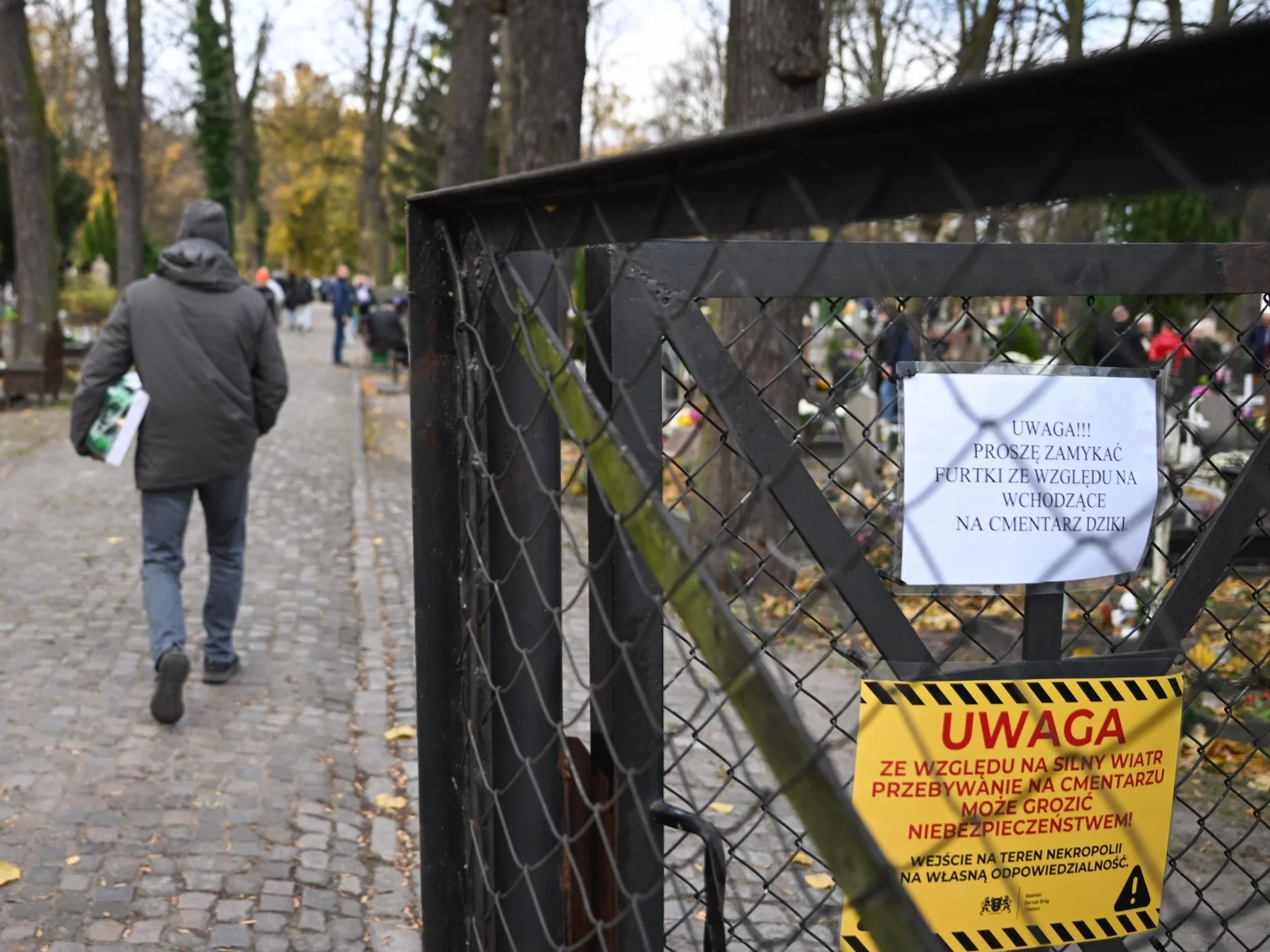 Ostrzeżenie przed wiatrem na Cmentarzu Garnizonowym w Gdańsku