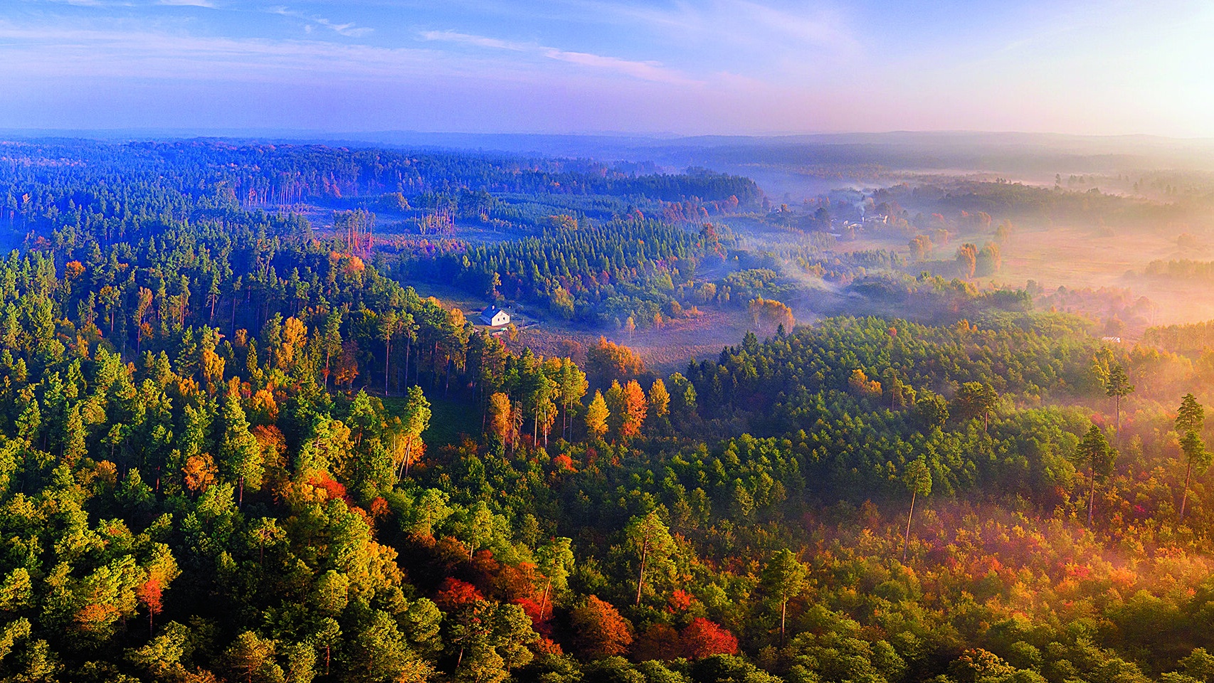 Skąd się bierze drewno?