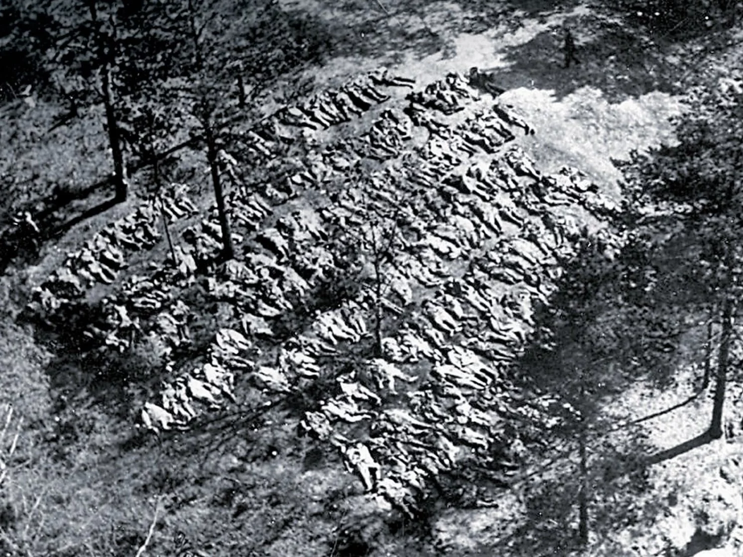 Ekshumowane ciała polskich oficerów. Katyń, 1943 r.