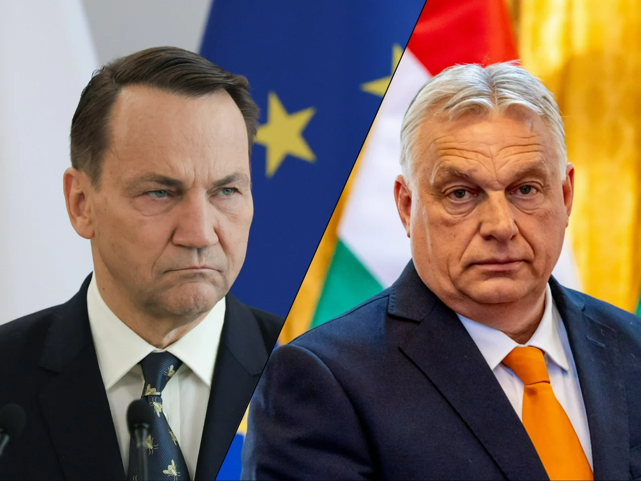 Radosław Sikorski, Viktor Orban