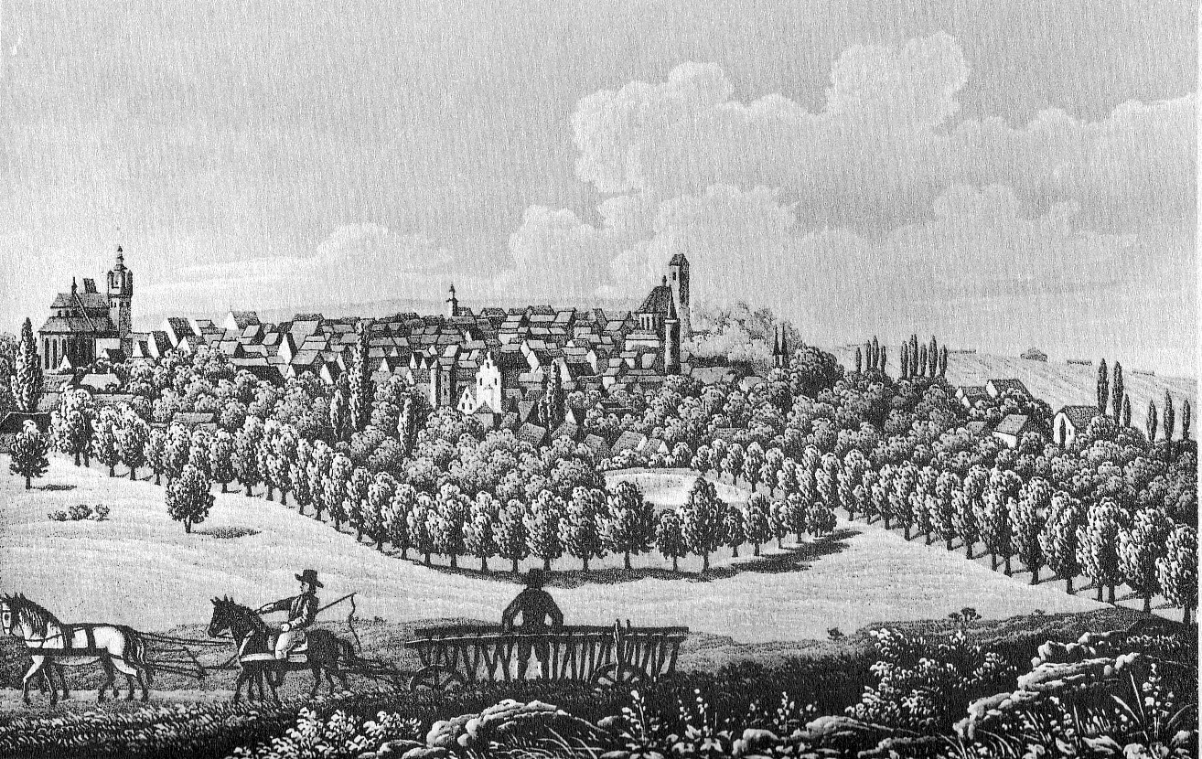 Historyczny widok Stargardu (Staloryt 1850 r.)