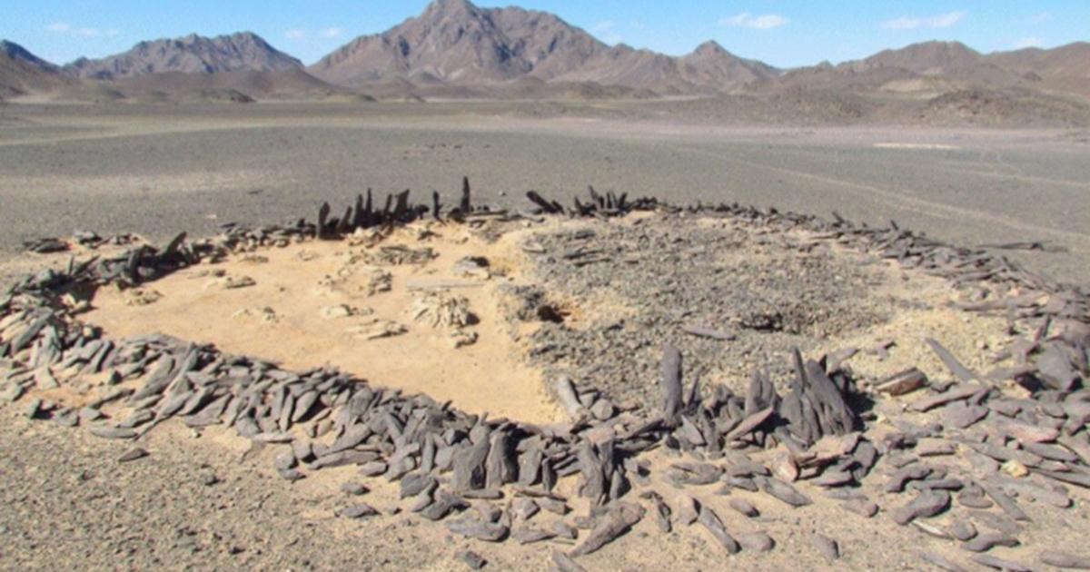 Groby grodziowe sprzed 6 tys. lat na Saharze. Zdjęcie Piotra Osypińskiego/ African Archaeological Review