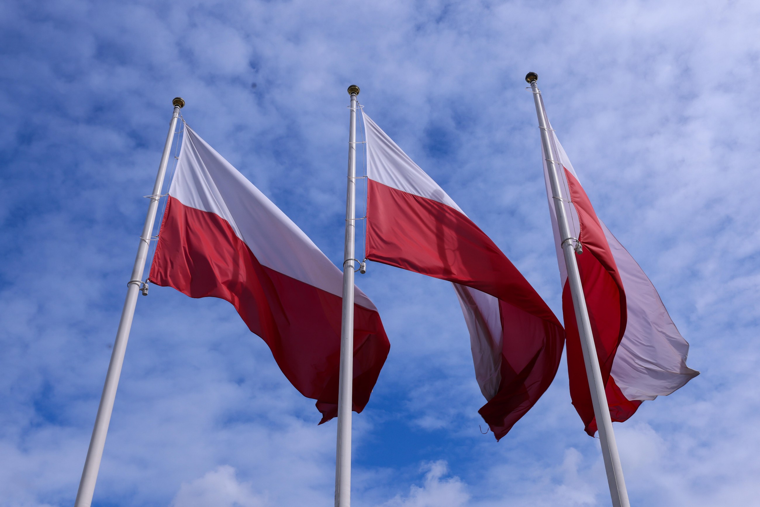 Strategia przyciągania kapitału Polonii do Polski